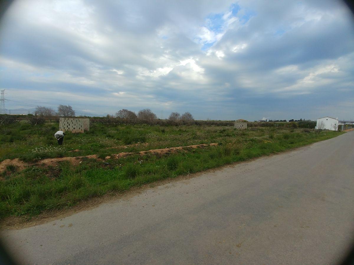 For sale of land in Castellón