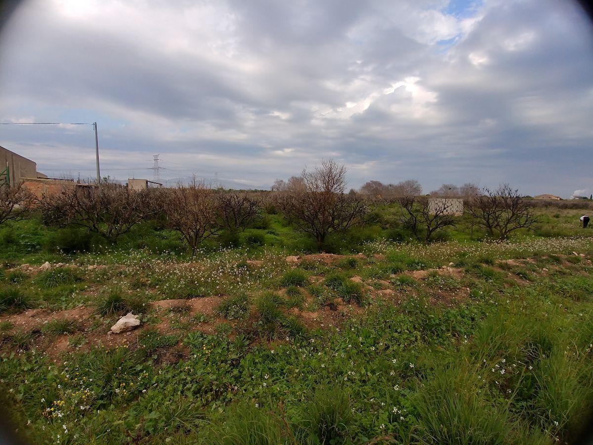 For sale of land in Castellón