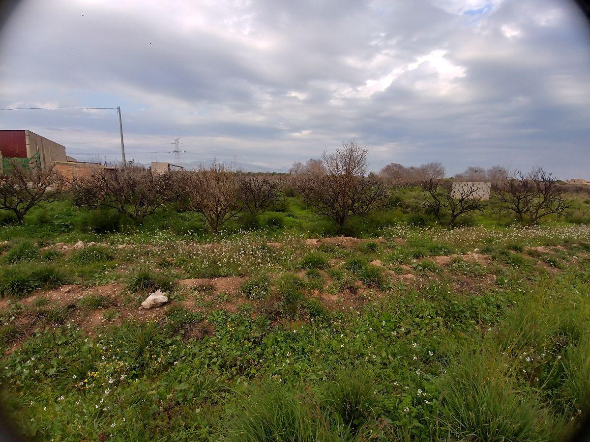 Venta de terreno en Castellón