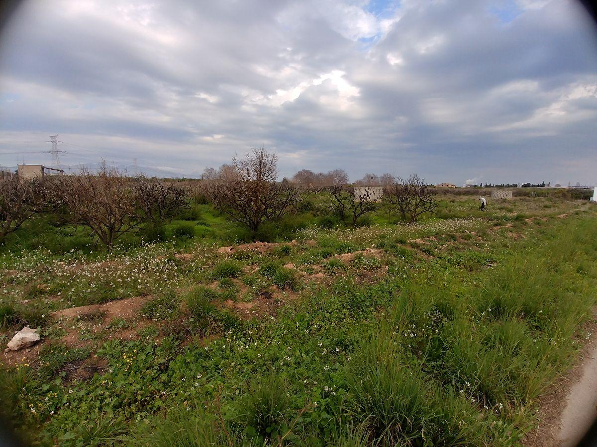 Venta de terreno en Castellón