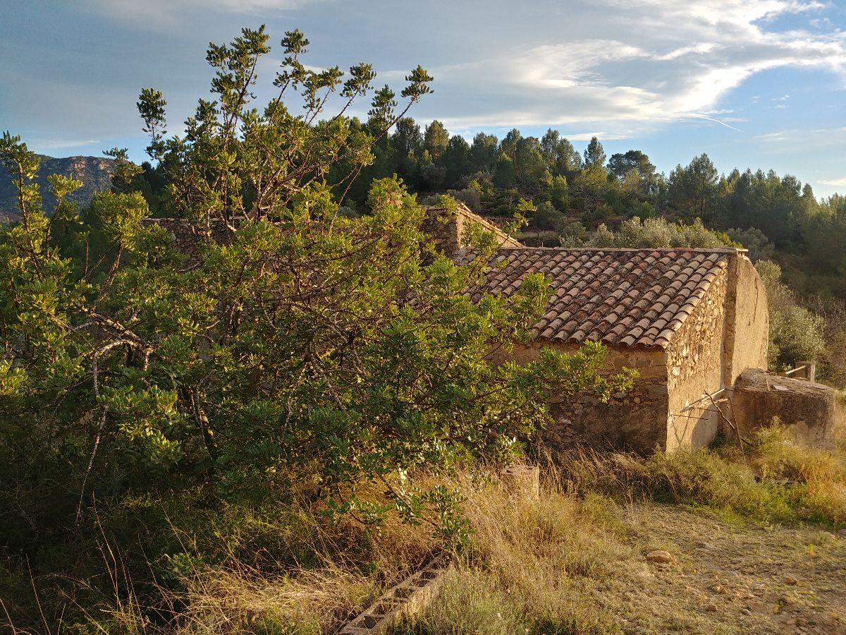 For sale of masia in Castellón