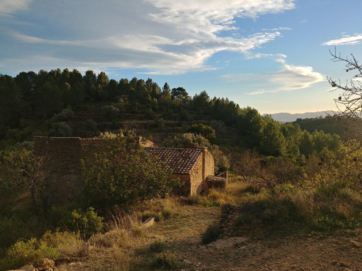 For sale of masia in Castellón