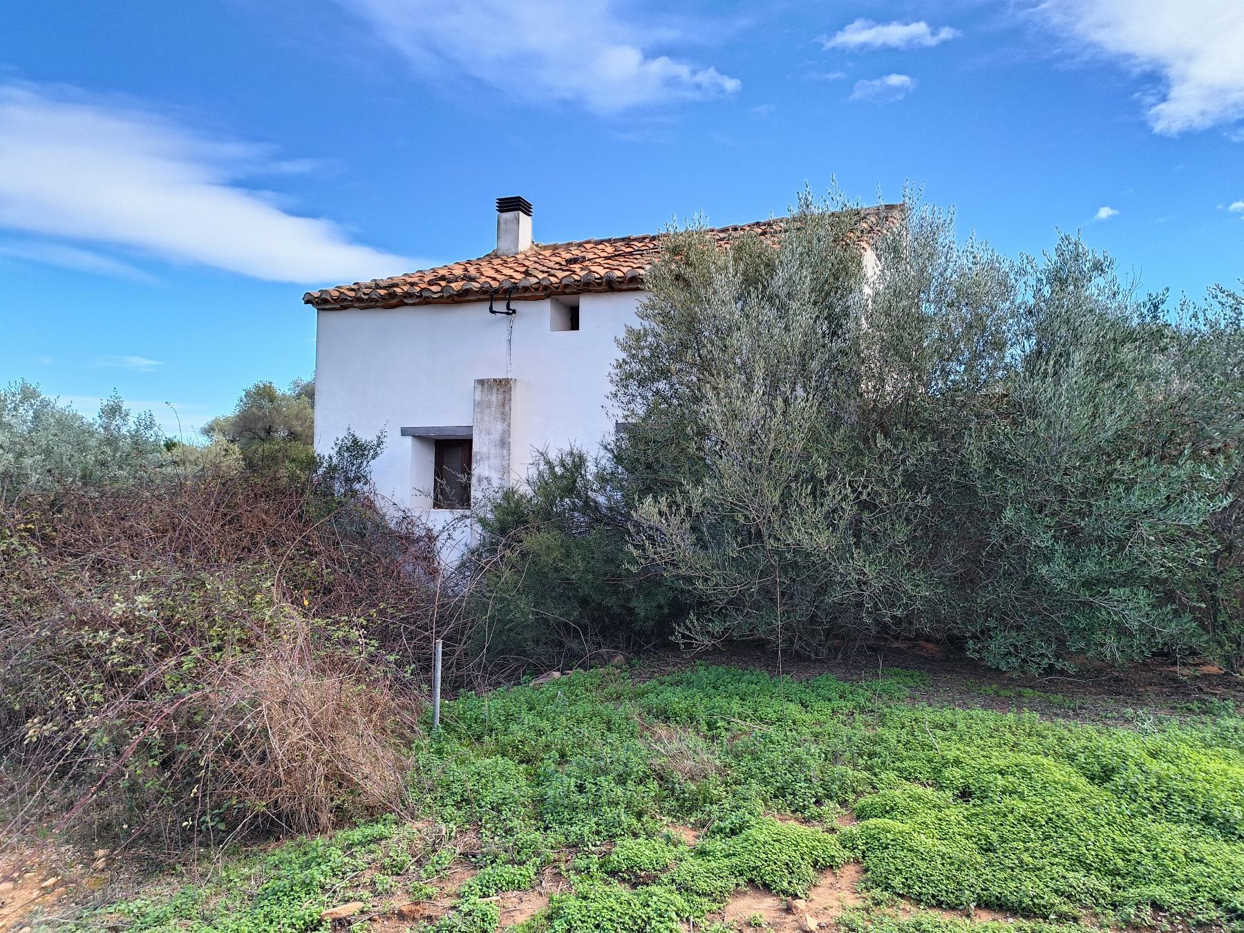 For sale of masia in Castellón