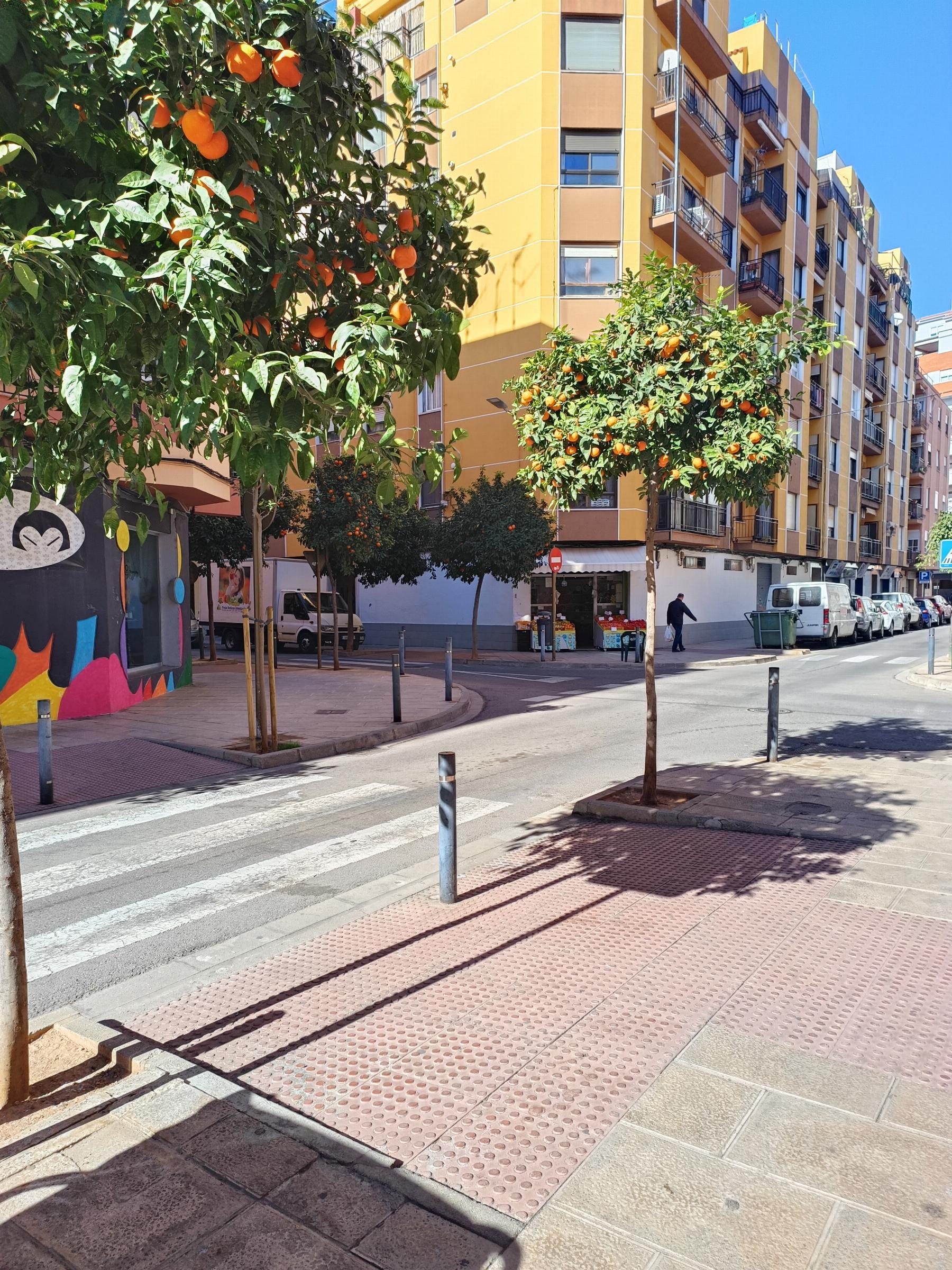 Venta de local comercial en Castellón