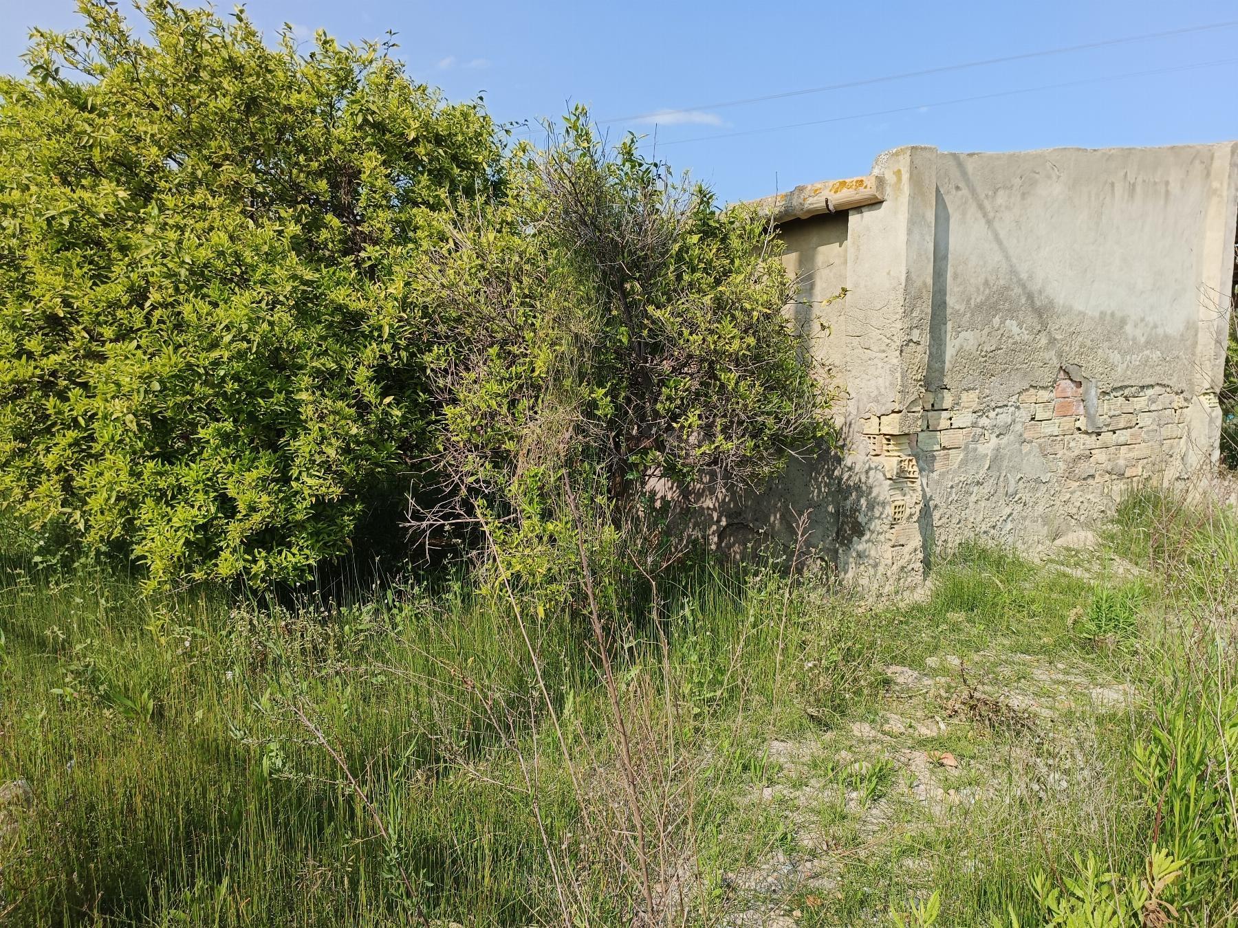 For sale of rural property in Castellón
