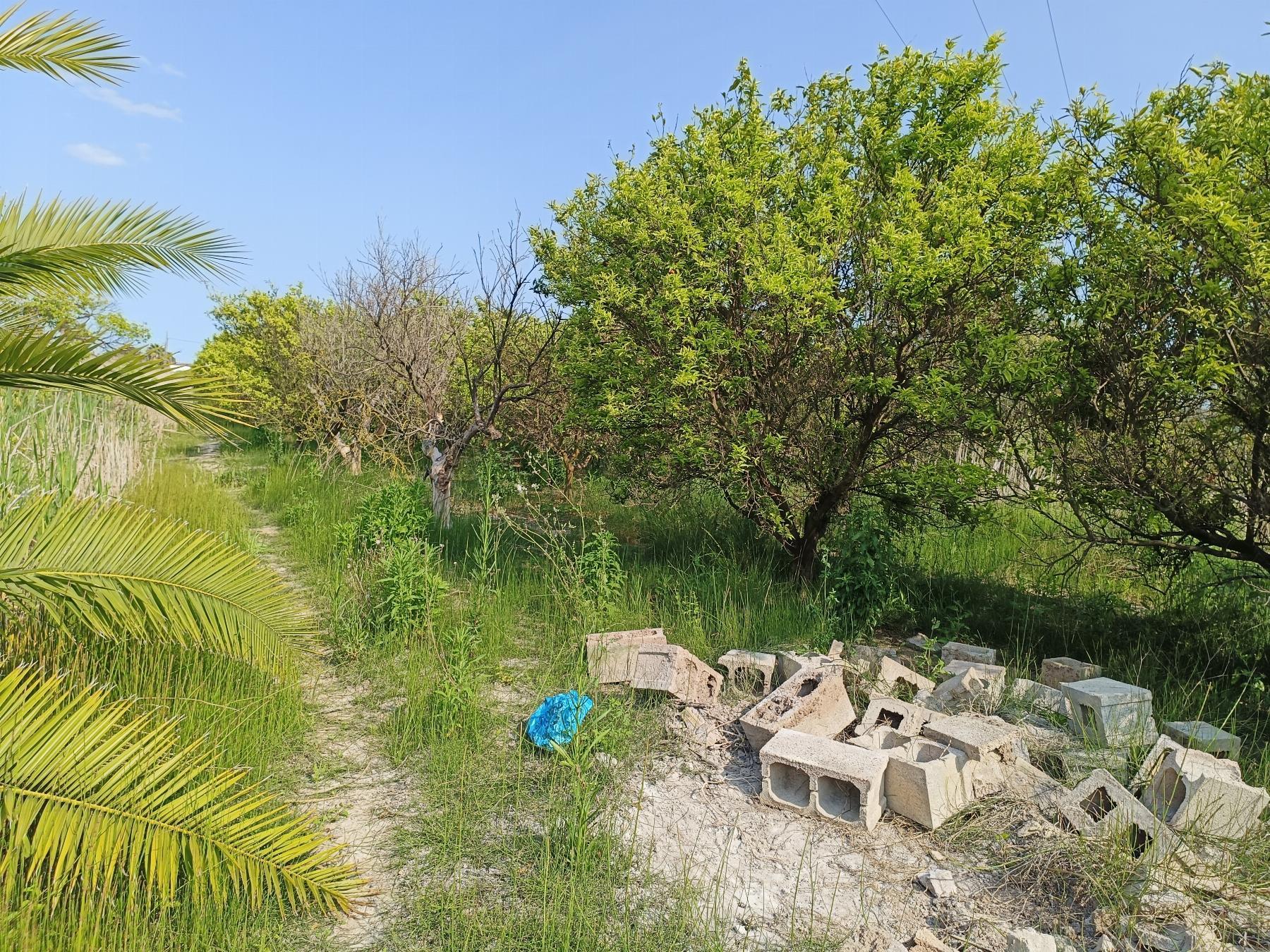 For sale of rural property in Castellón