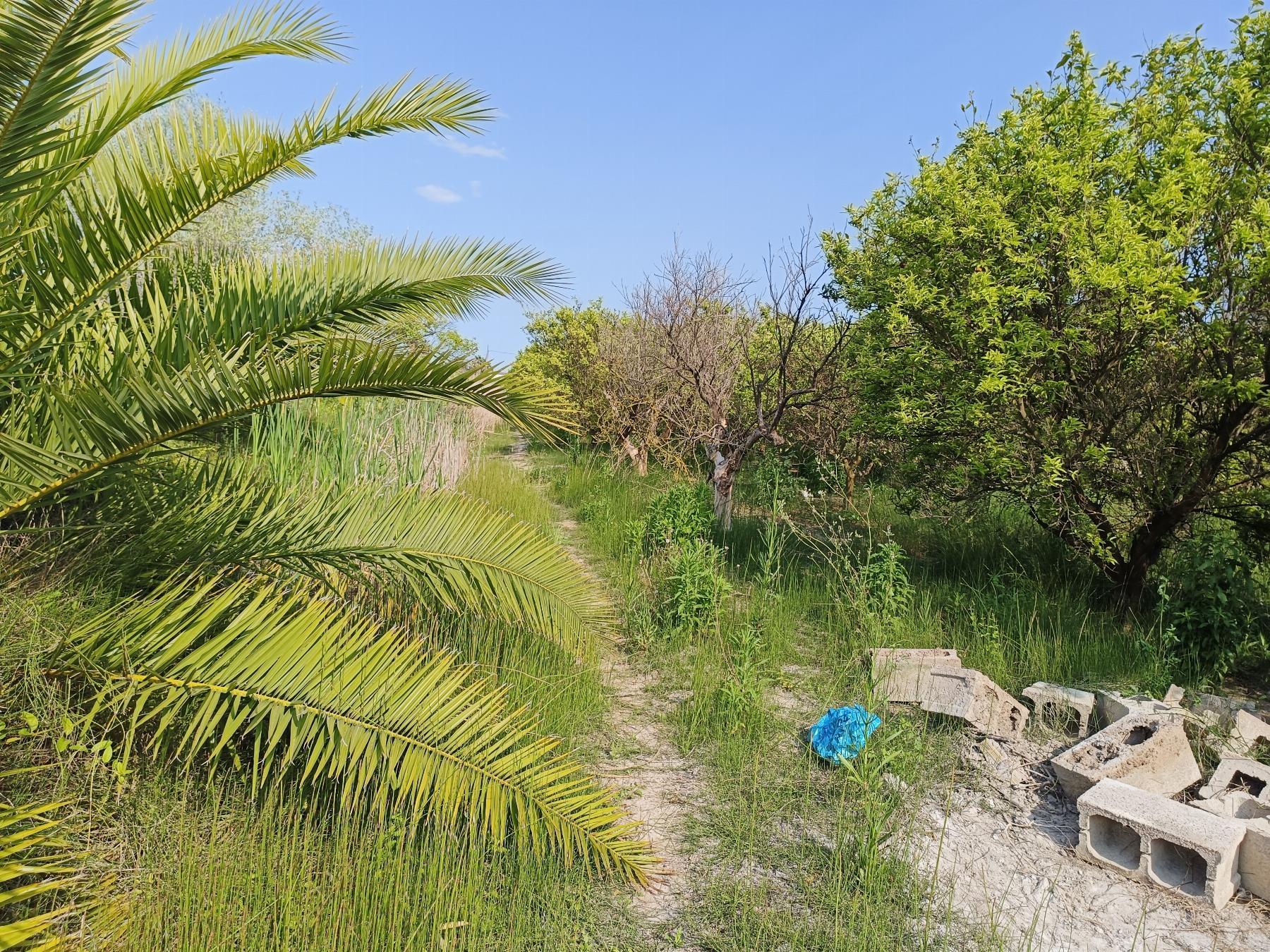 For sale of rural property in Castellón