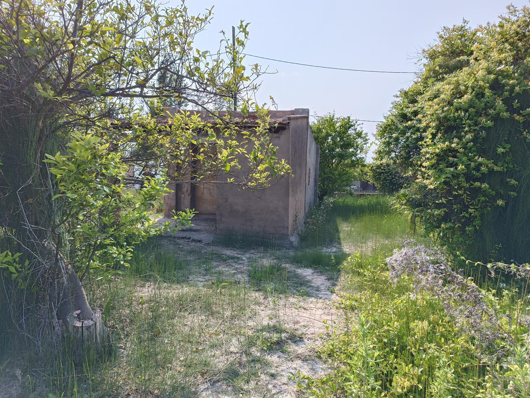 For sale of rural property in Castellón