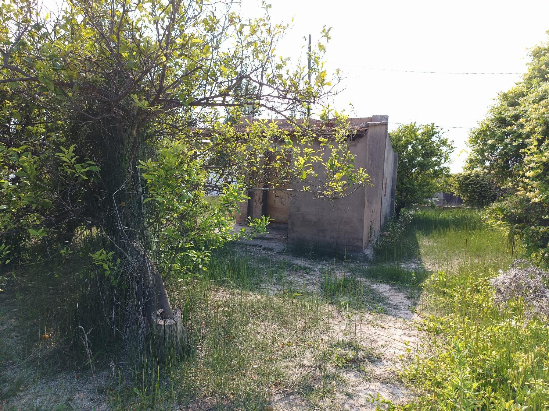 For sale of rural property in Castellón