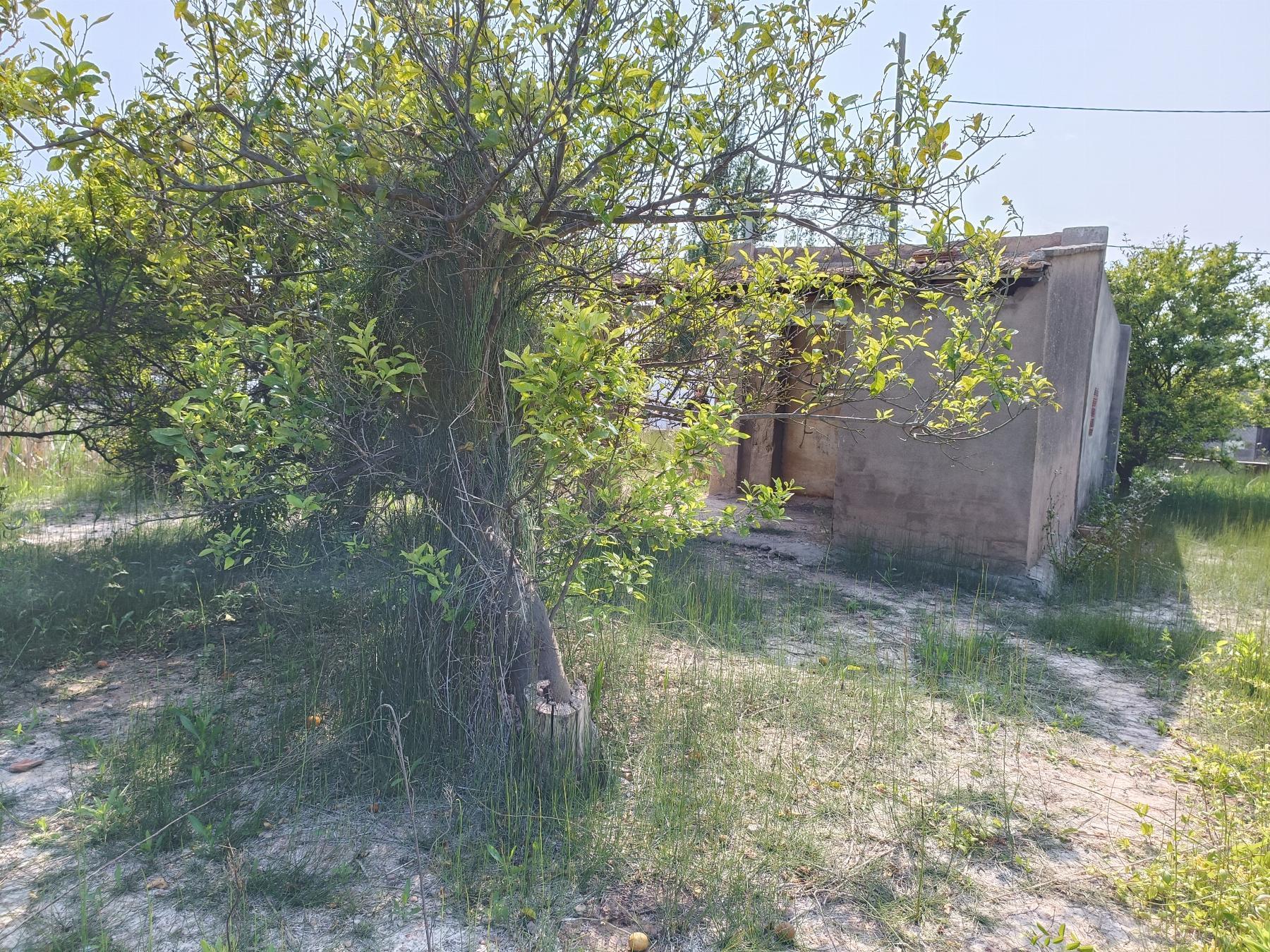 Venta de finca rústica en Castellón