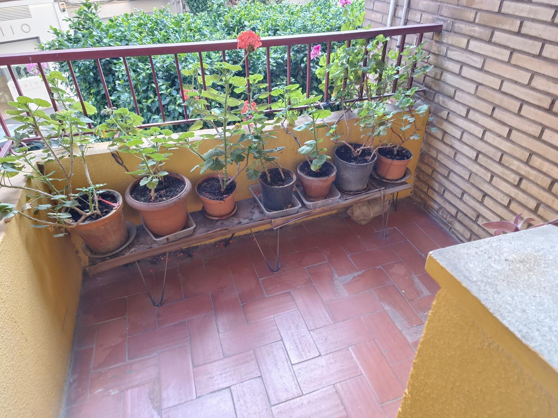 Venta de piso en Castellón