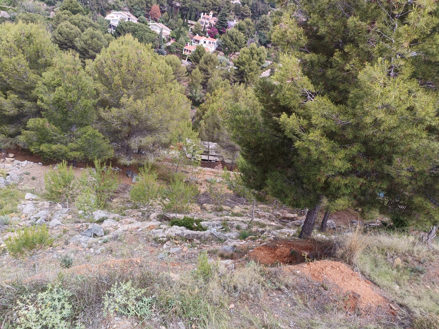 For sale of land in Borriol