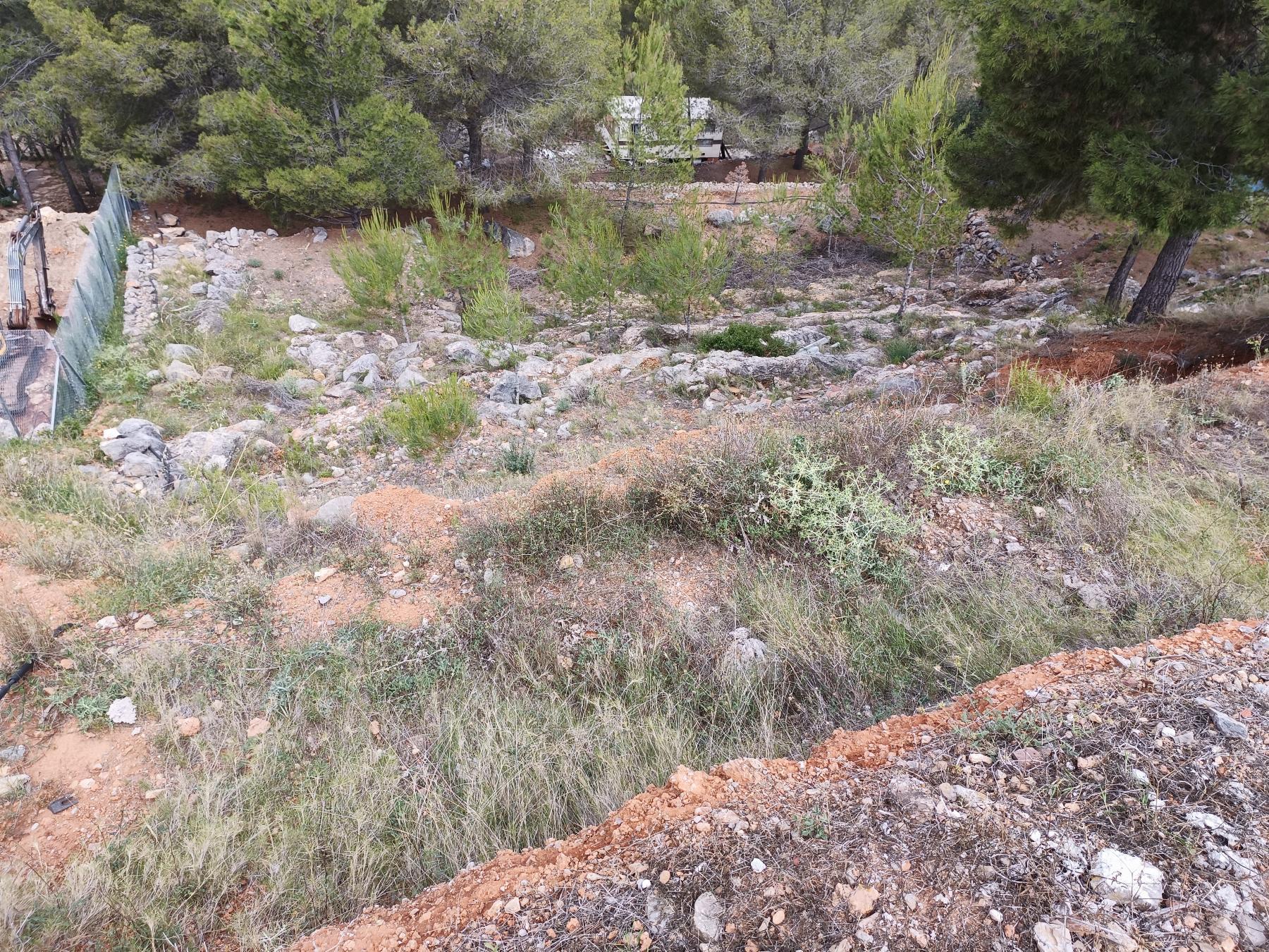 For sale of land in Borriol