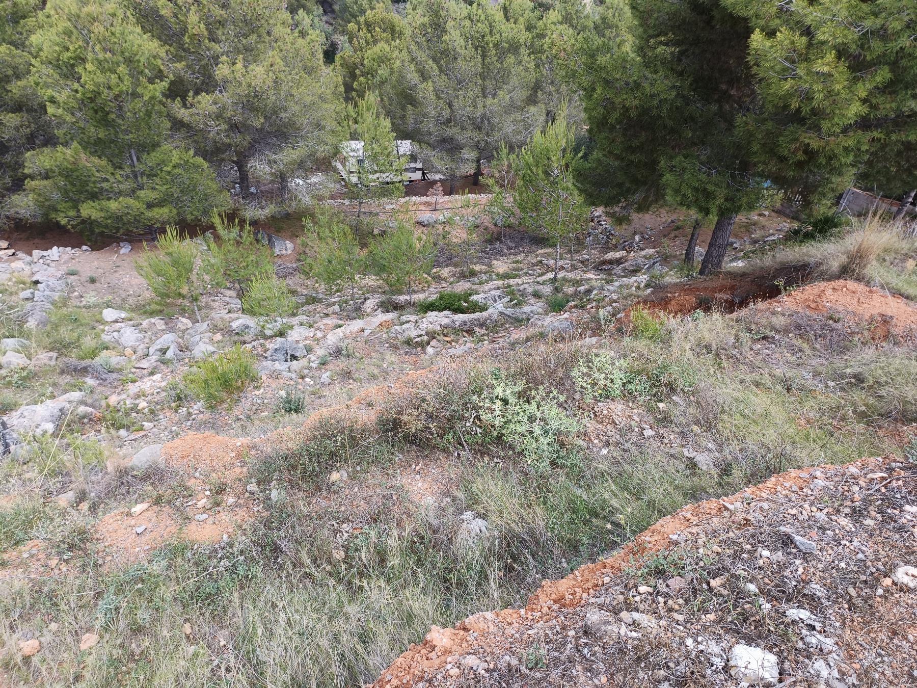 For sale of land in Borriol