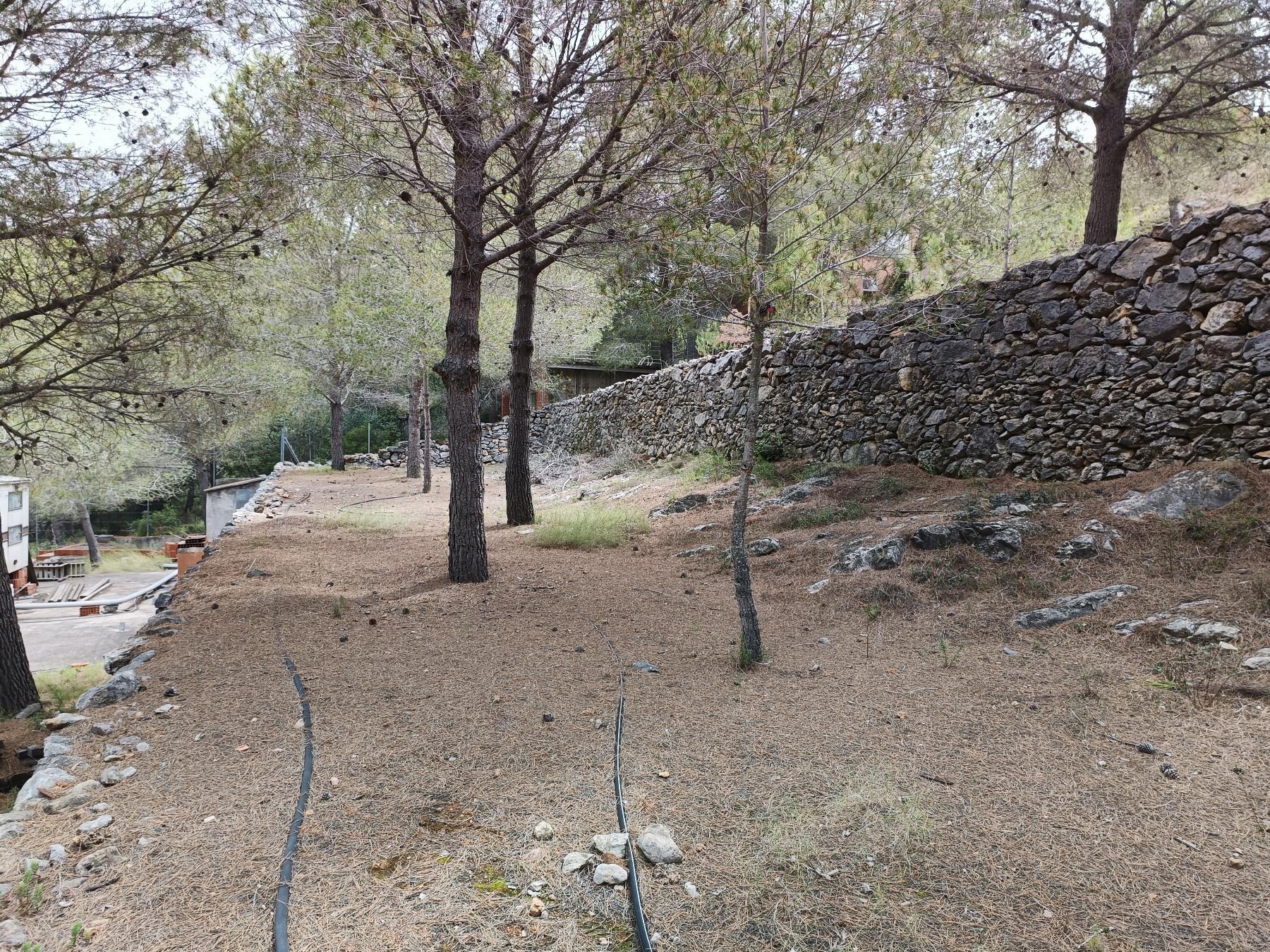 For sale of land in Borriol