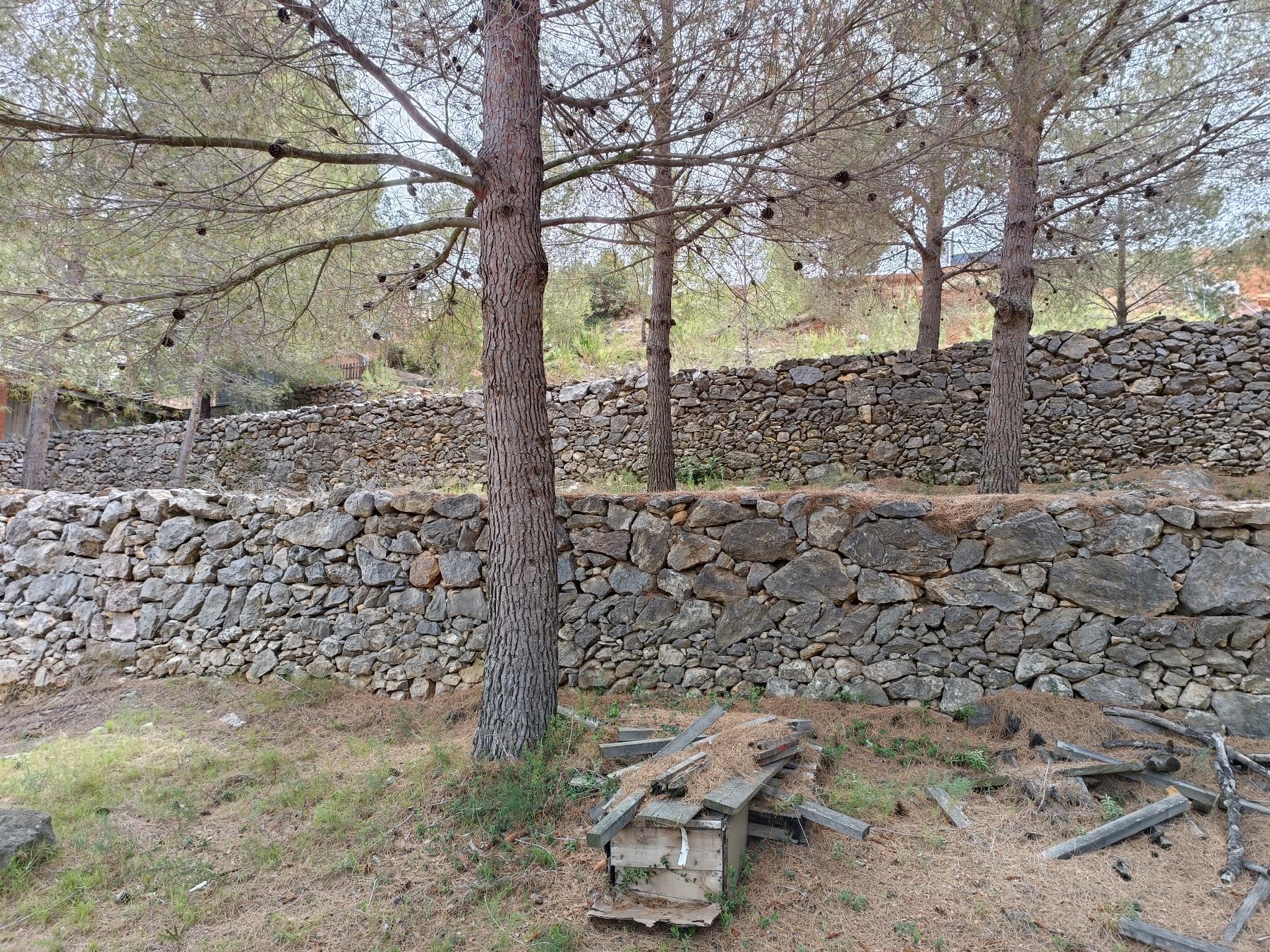 For sale of land in Borriol