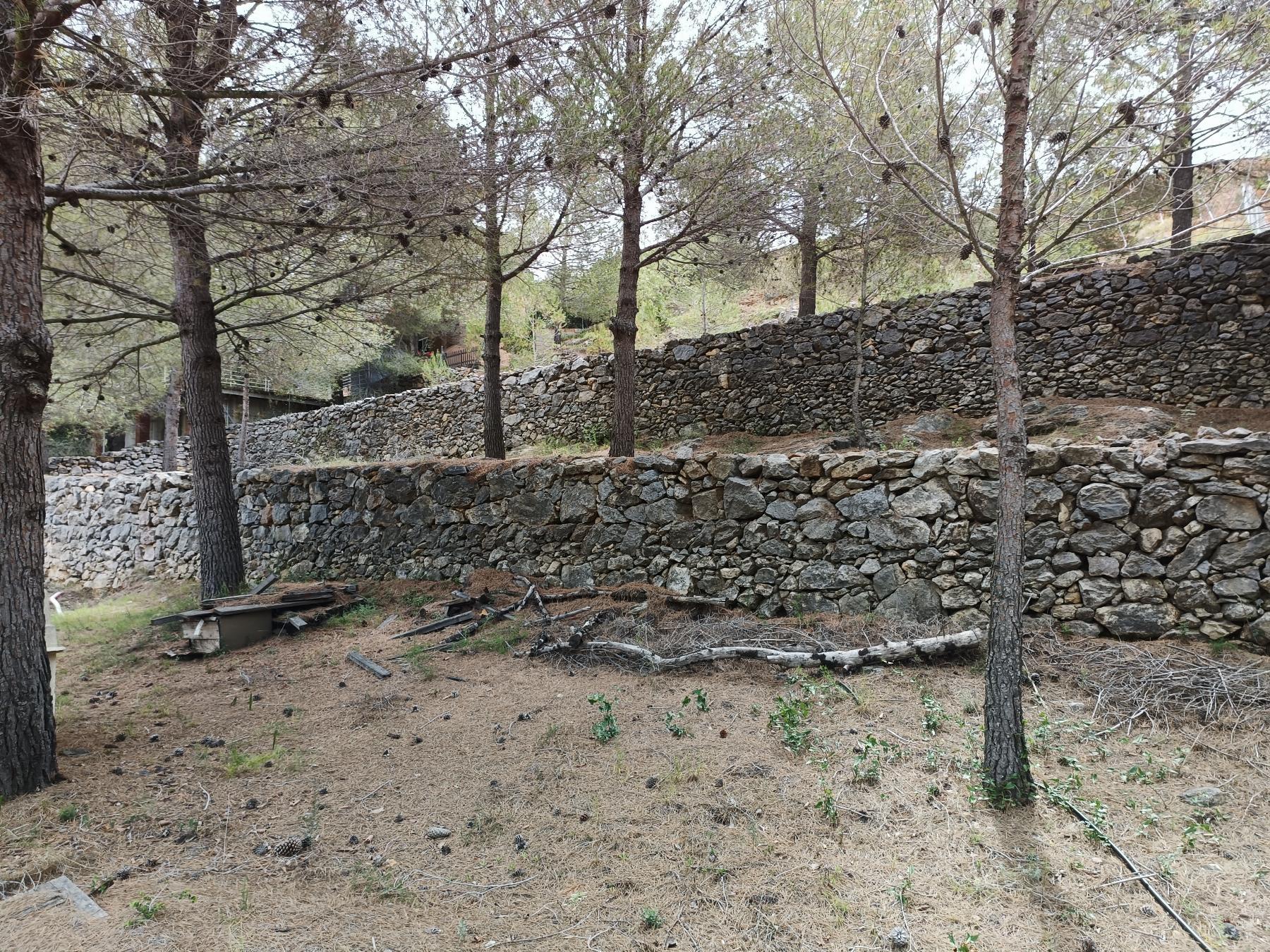 For sale of land in Borriol
