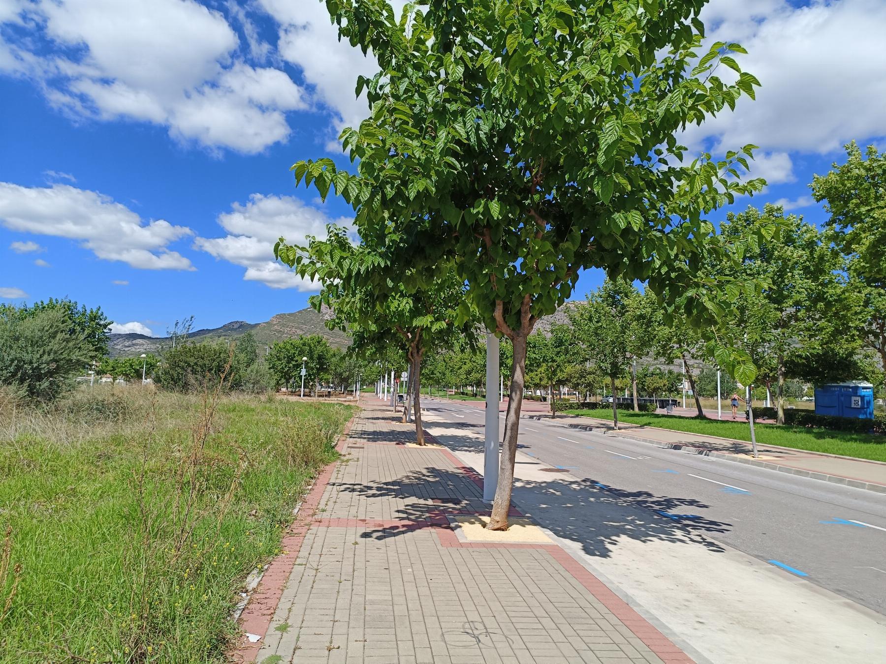 For sale of land in Oropesa del Mar