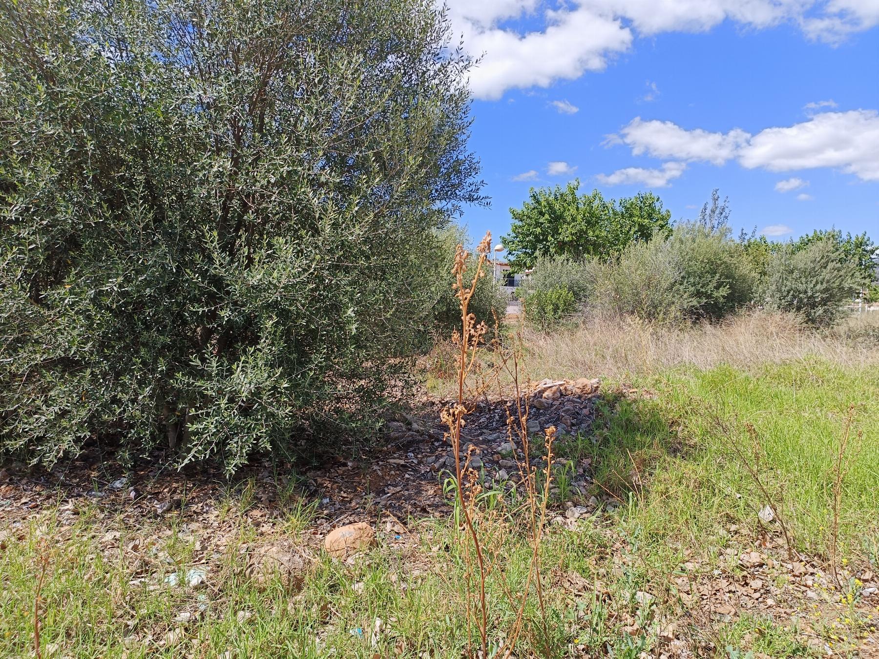 For sale of land in Oropesa del Mar