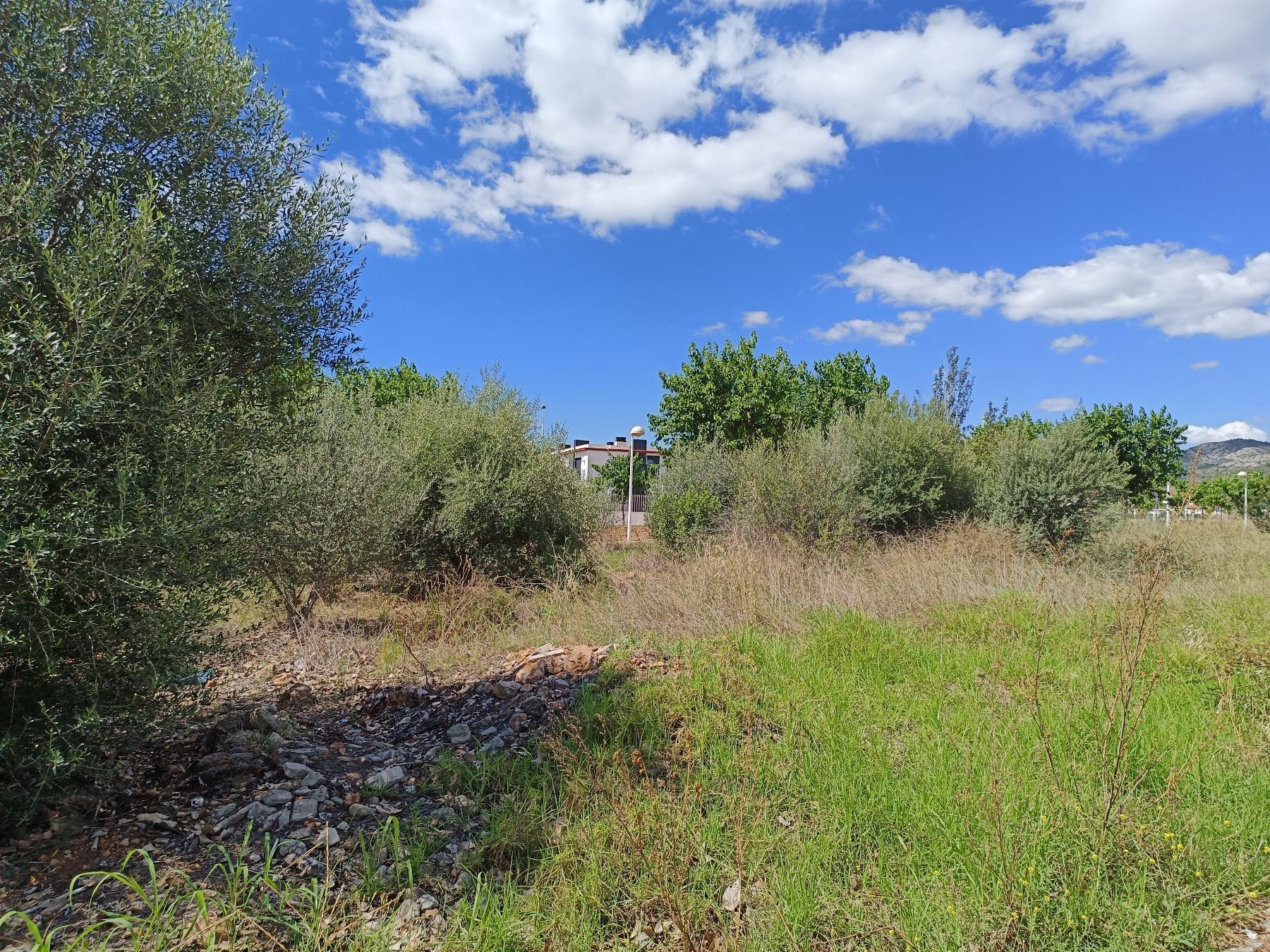 For sale of land in Oropesa del Mar