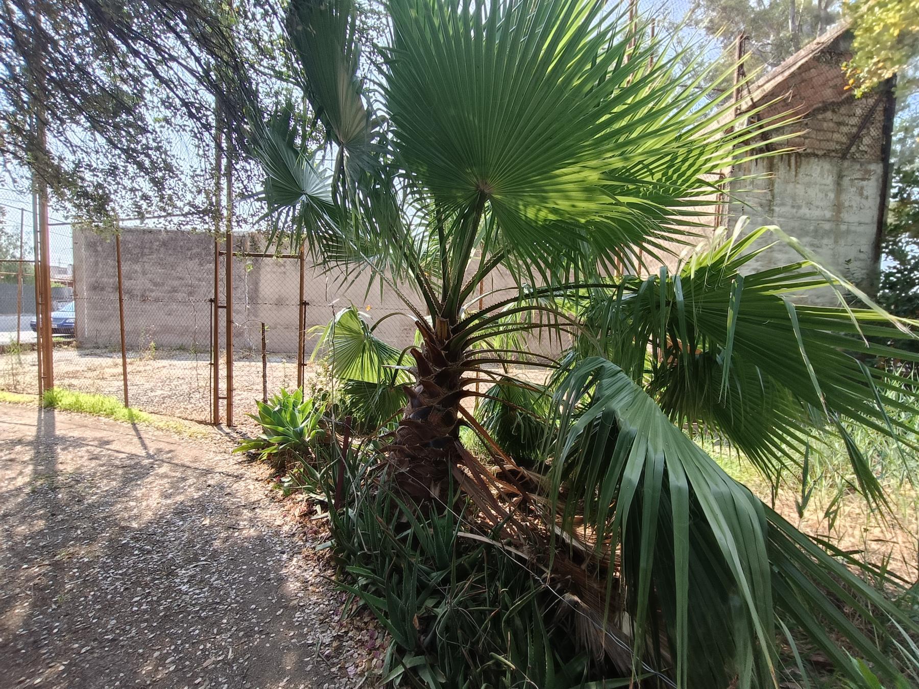 For sale of house in Castellón