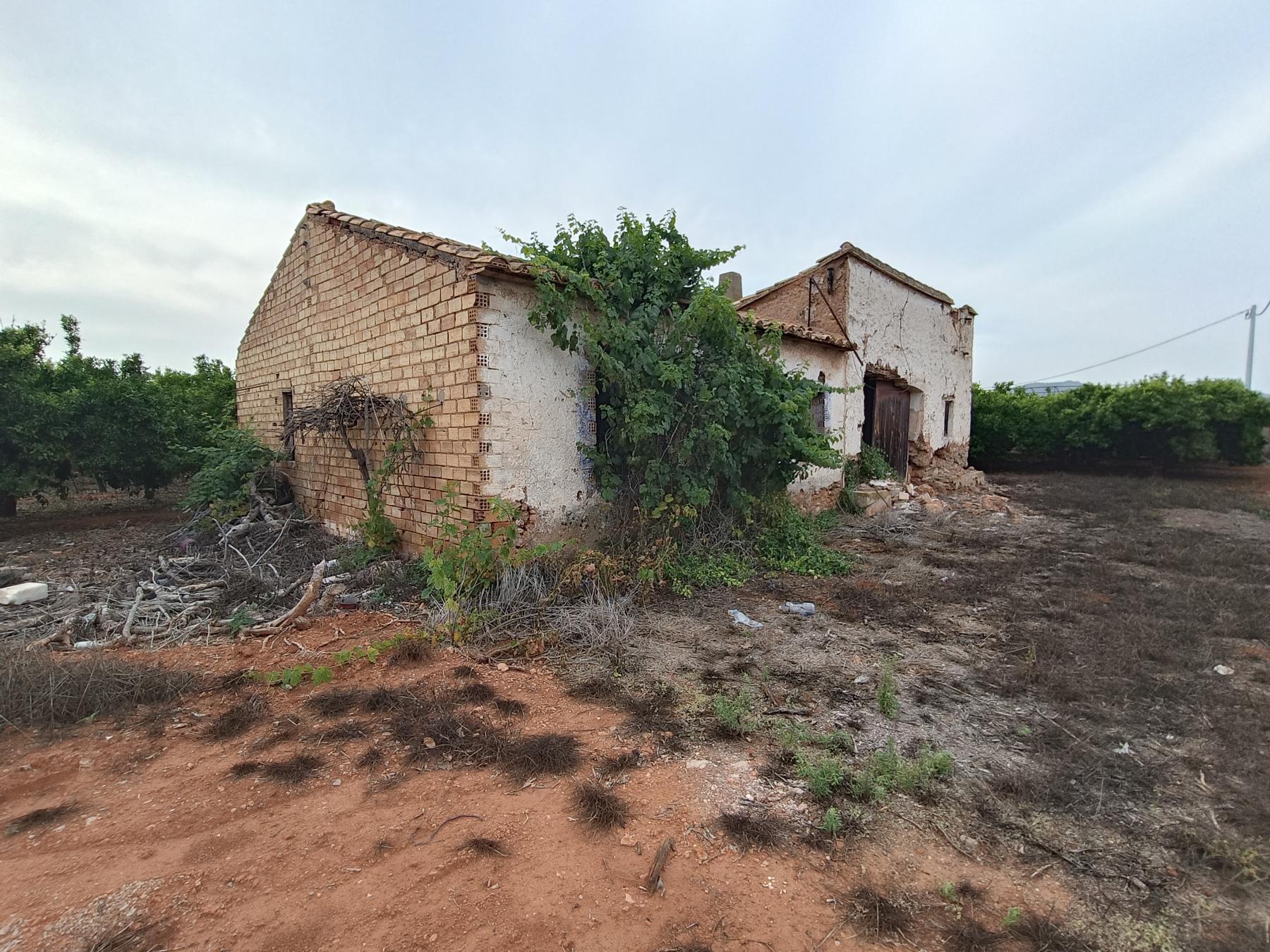 Venta de finca rústica en Castellón