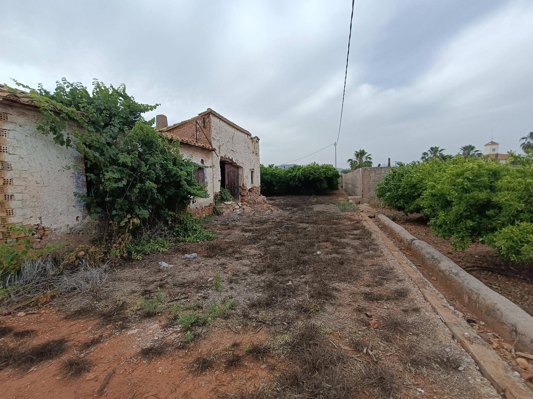 Venta de finca rústica en Castellón