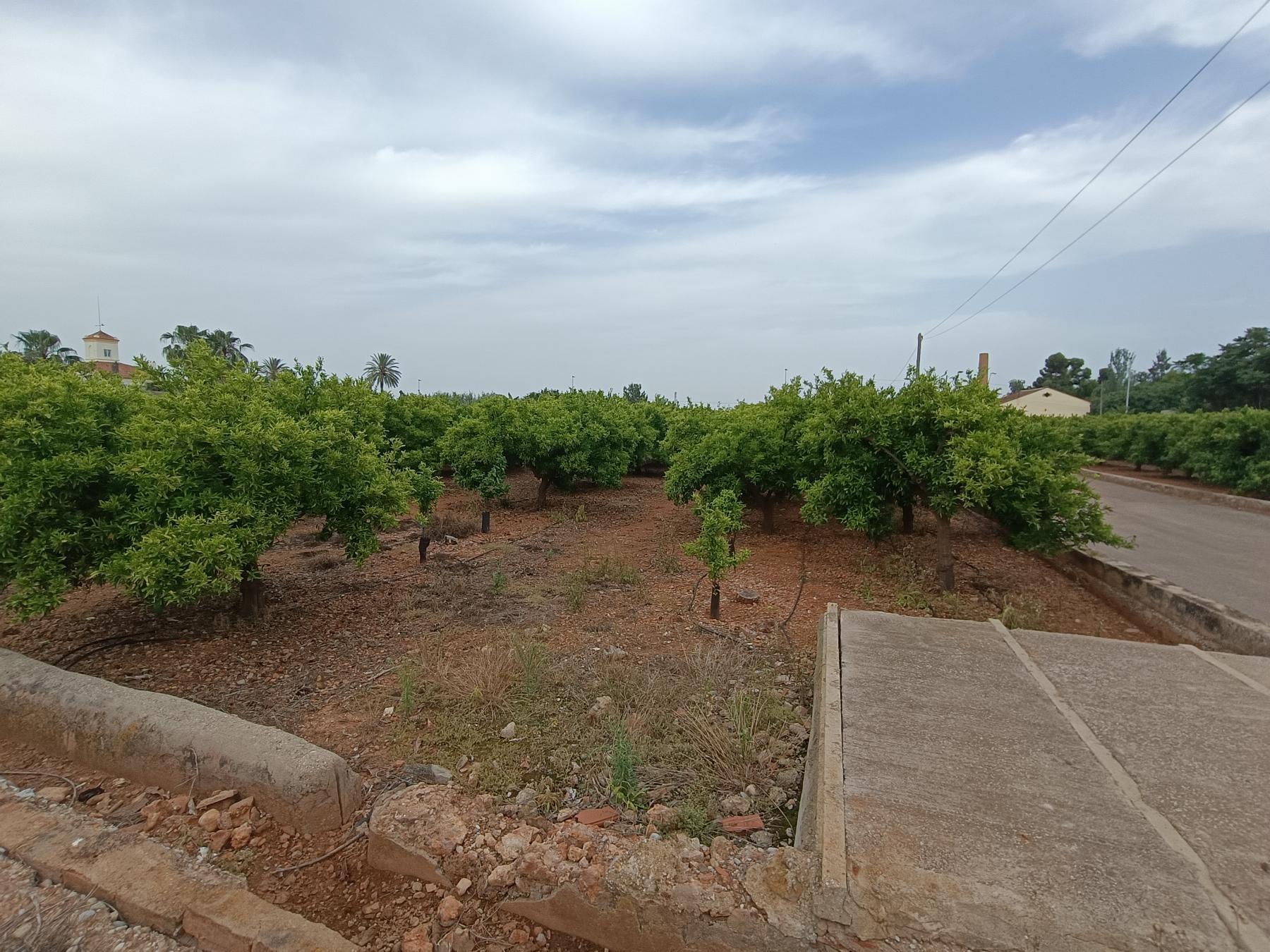 Venta de finca rústica en Castellón