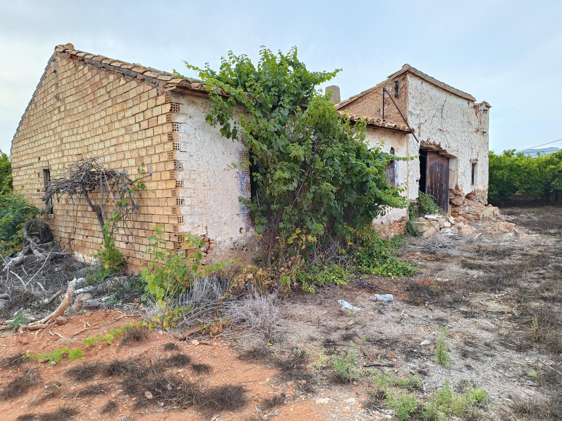 Venta de finca rústica en Castellón