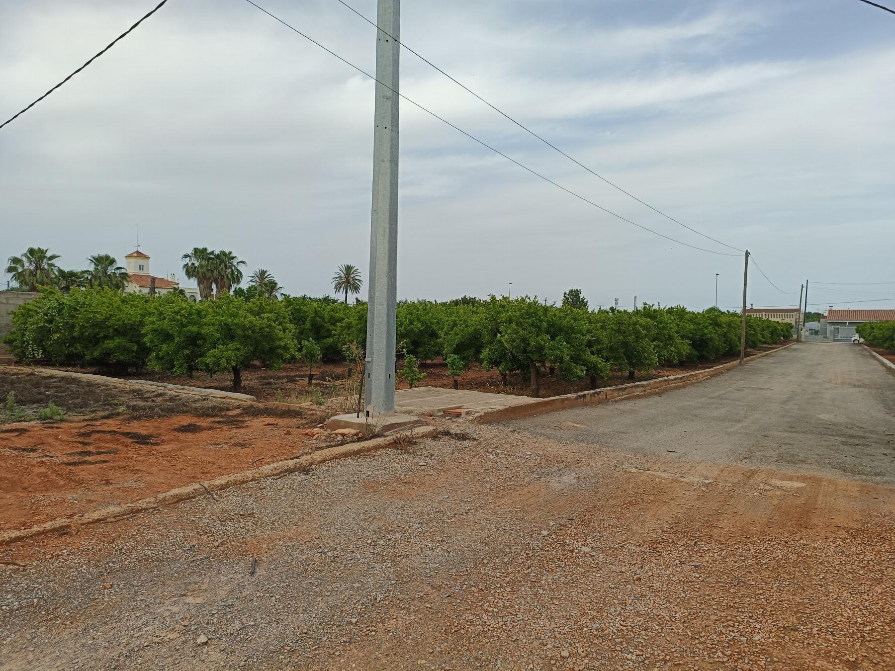 Venta de finca rústica en Castellón