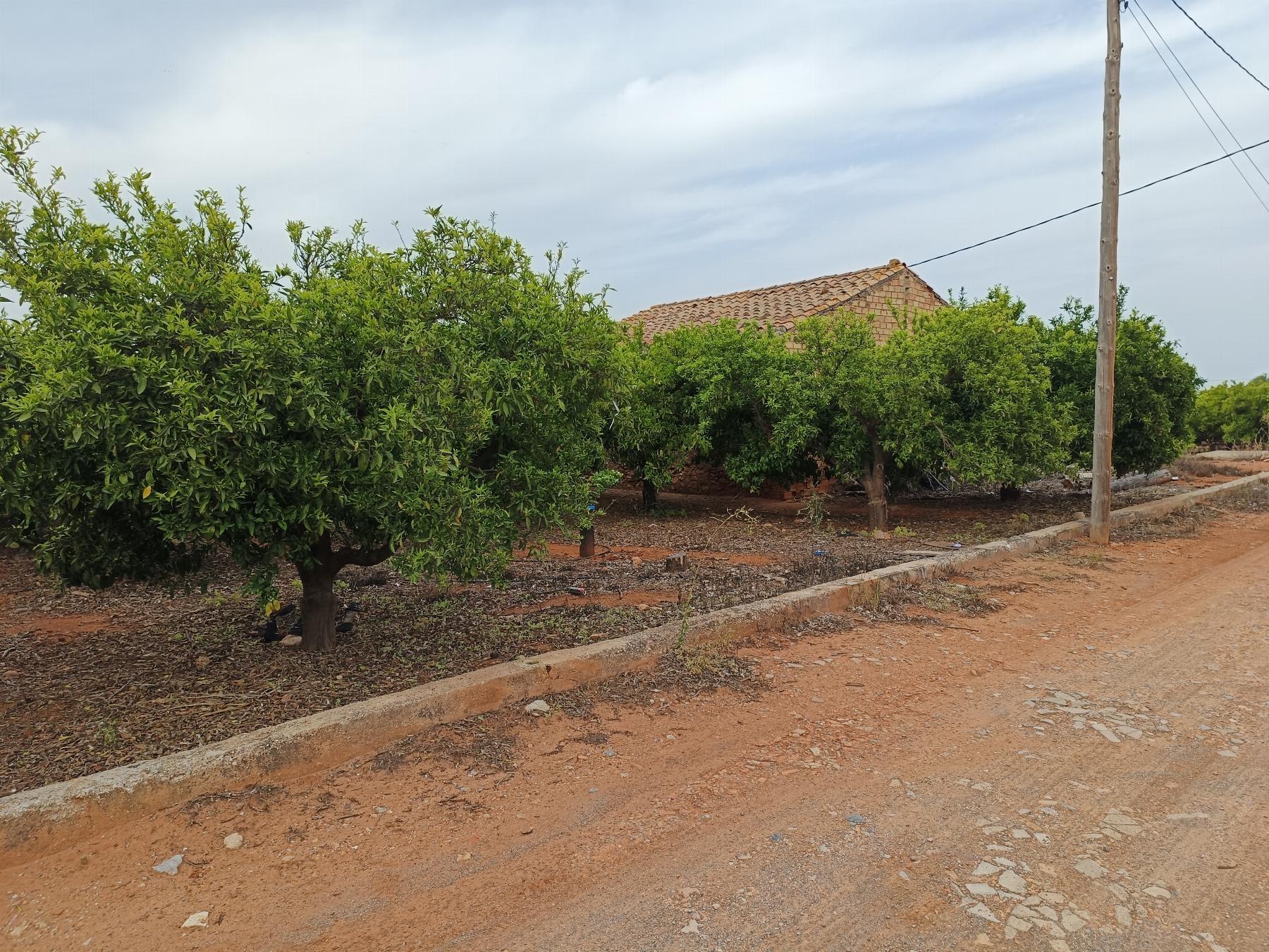 Venta de finca rústica en Castellón