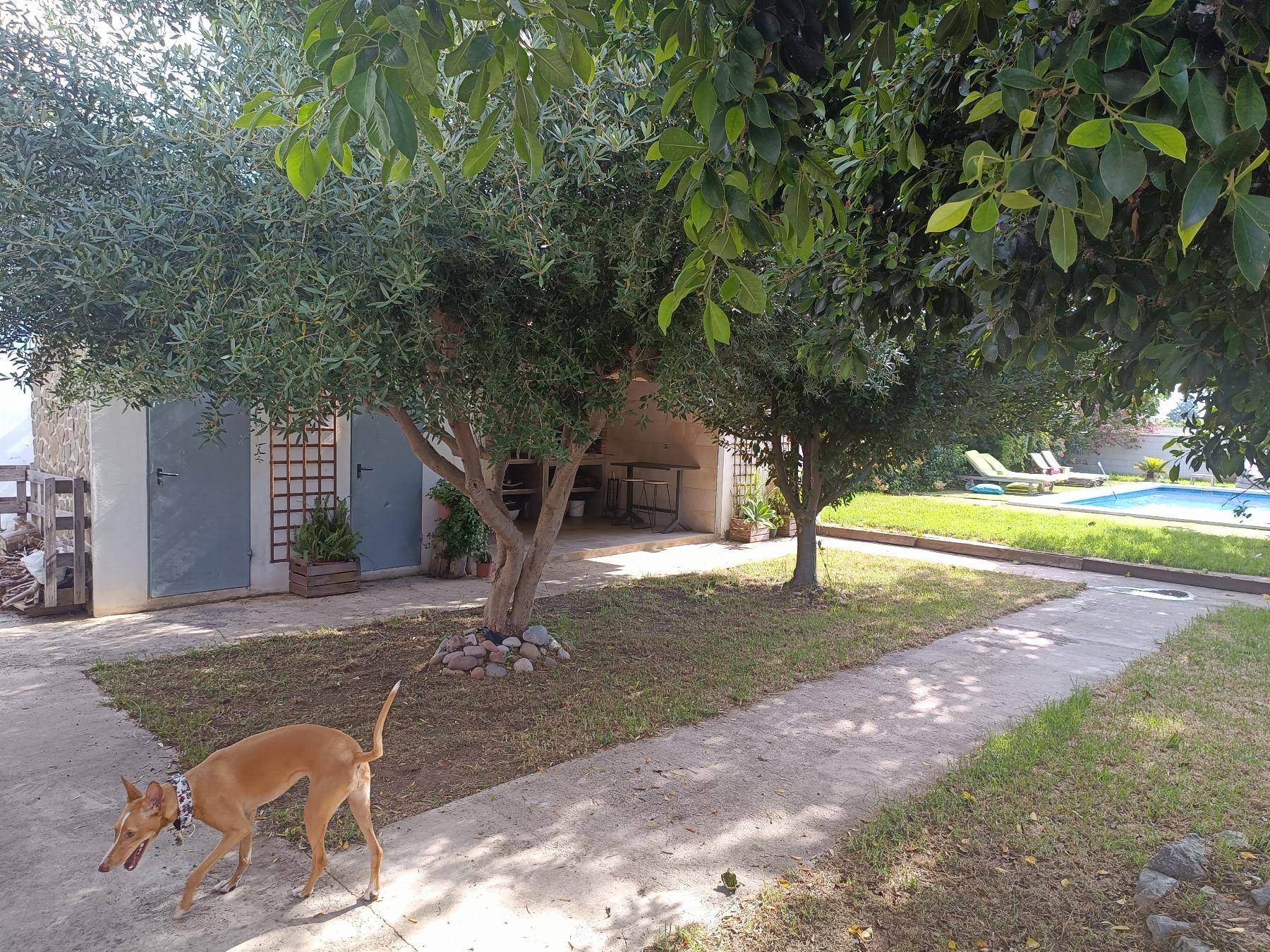 For sale of chalet in Castellón