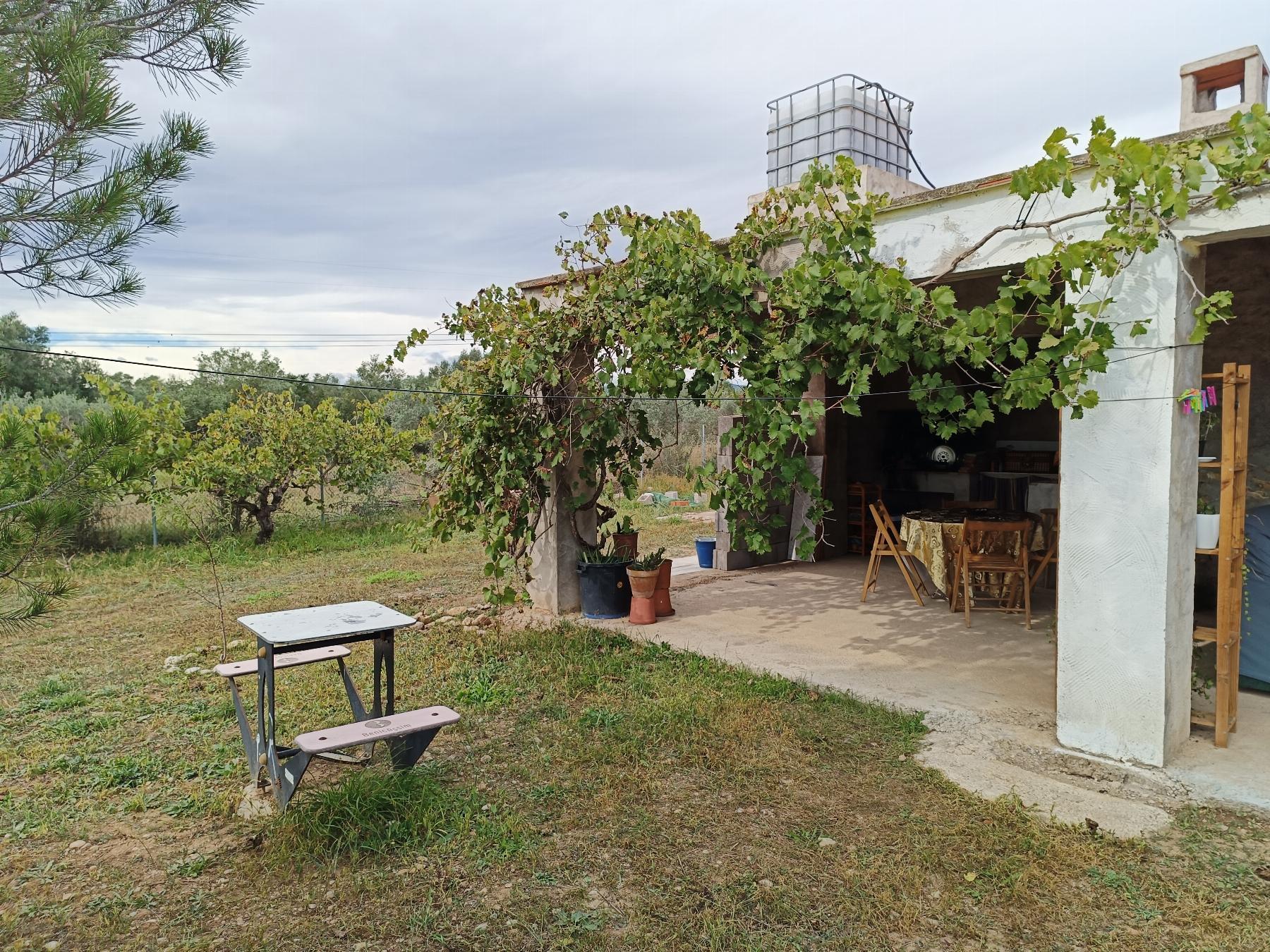 Venta de finca rústica en Vall d Alba