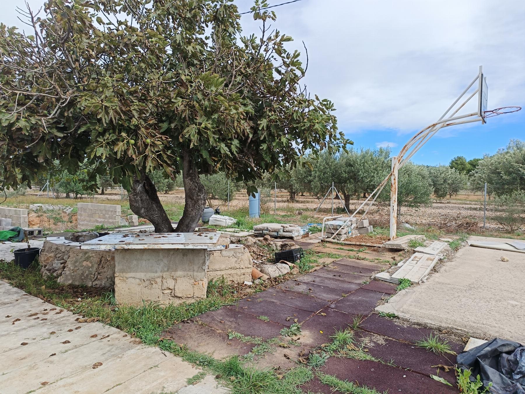 Venta de finca rústica en Vall d Alba