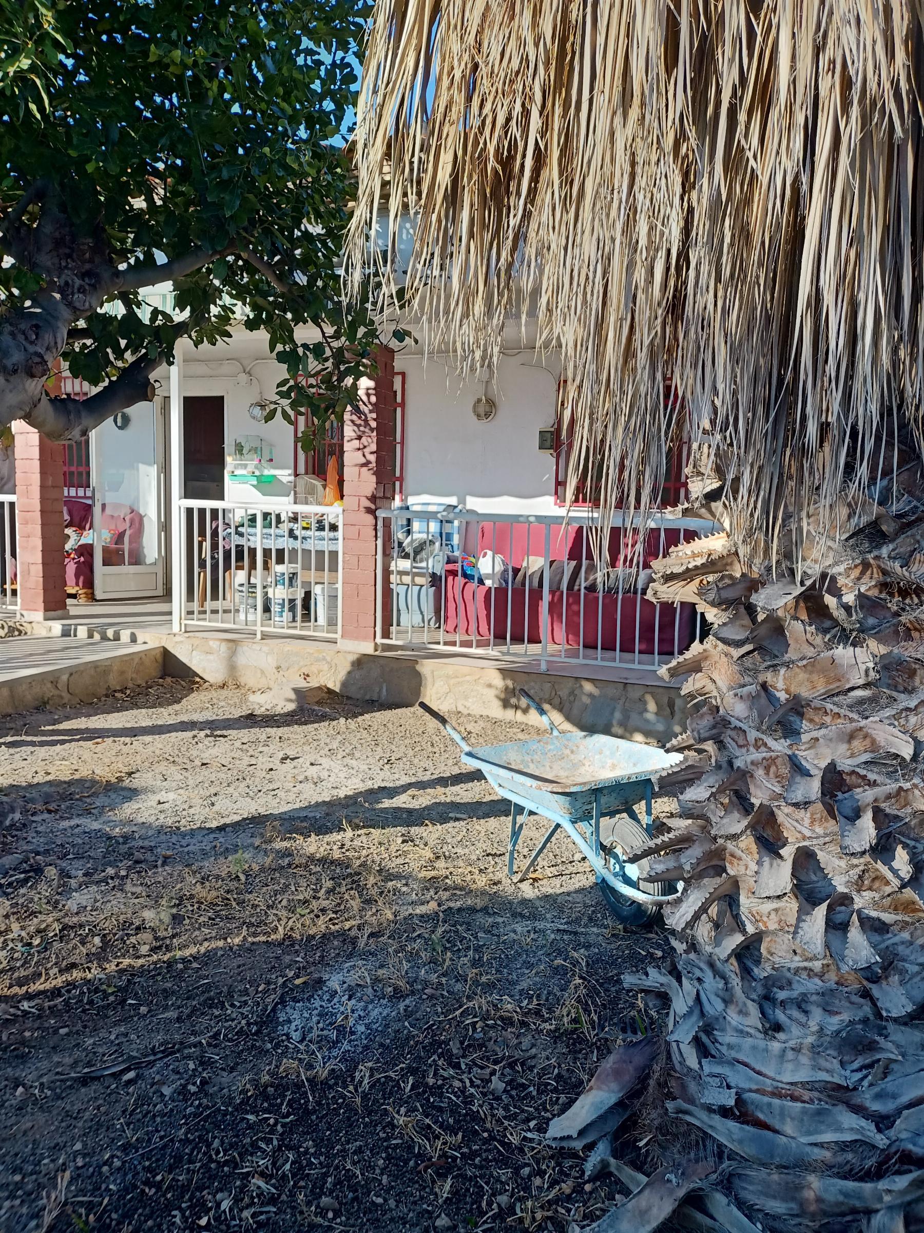 For sale of rural property in Oropesa del Mar
