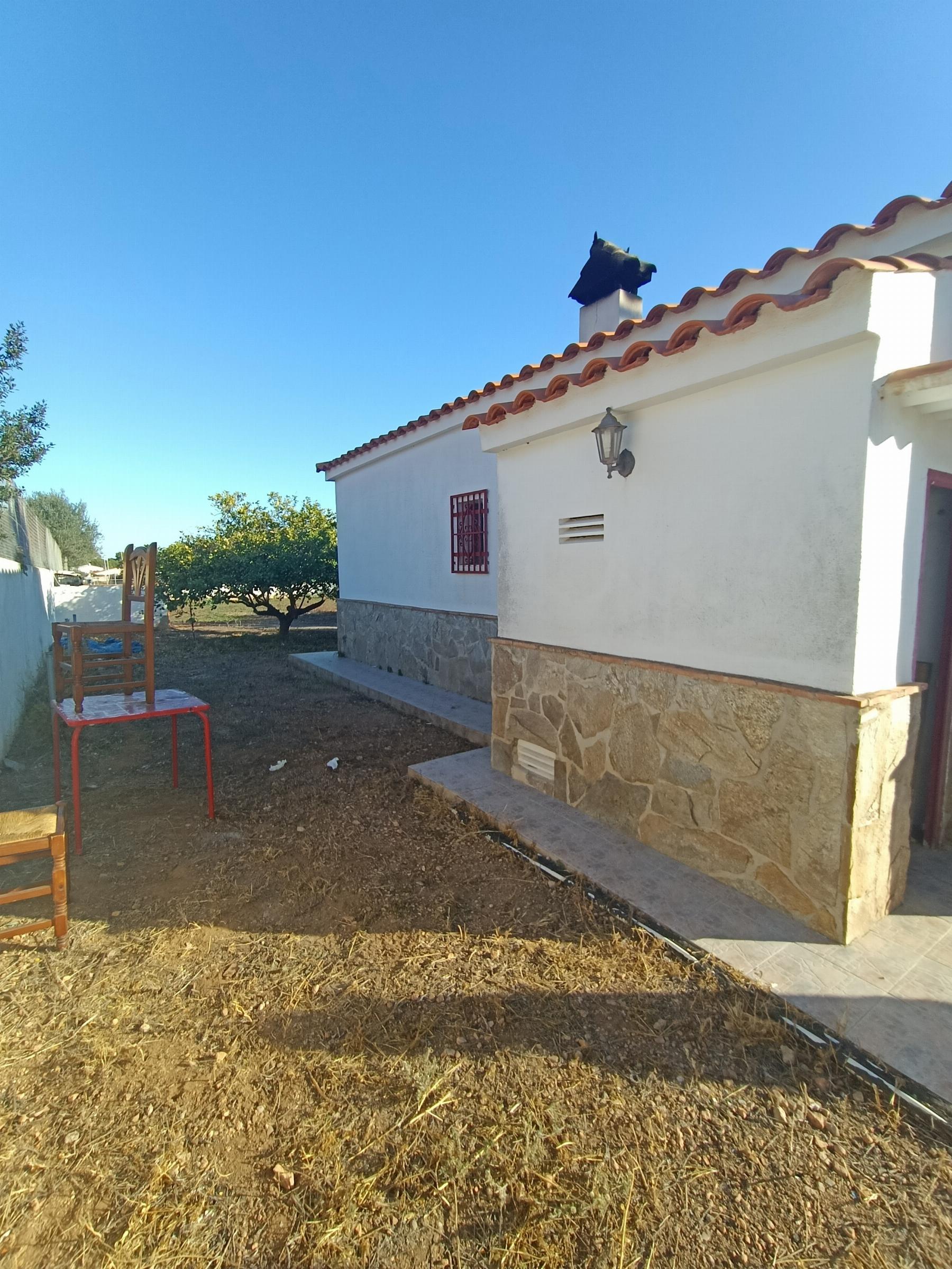 Venta de finca rústica en Oropesa del Mar