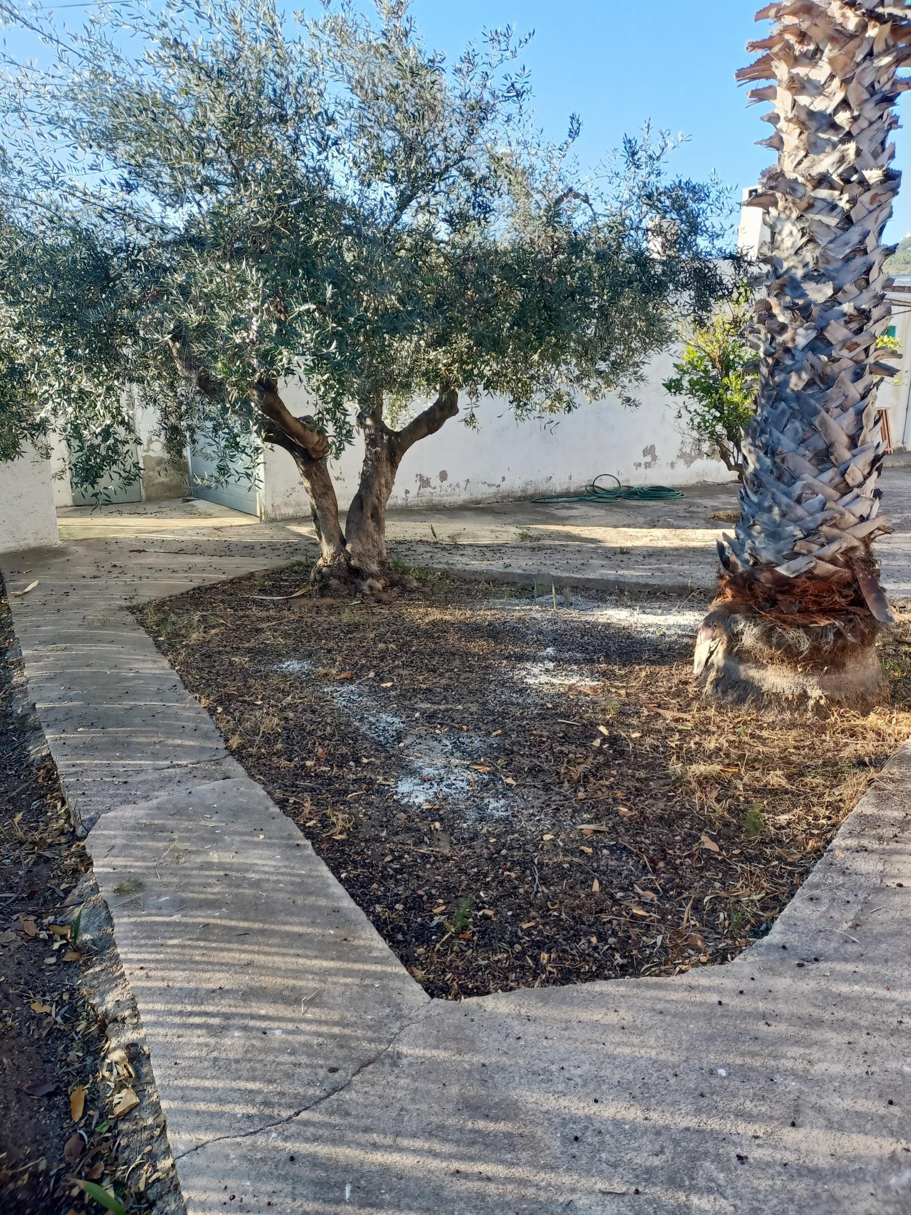 For sale of rural property in Oropesa del Mar