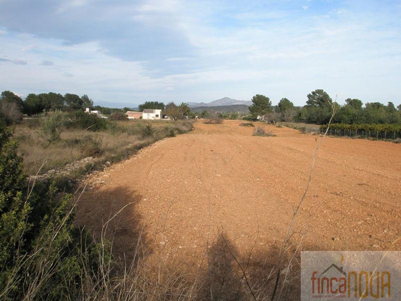 For sale of land in Benicarló