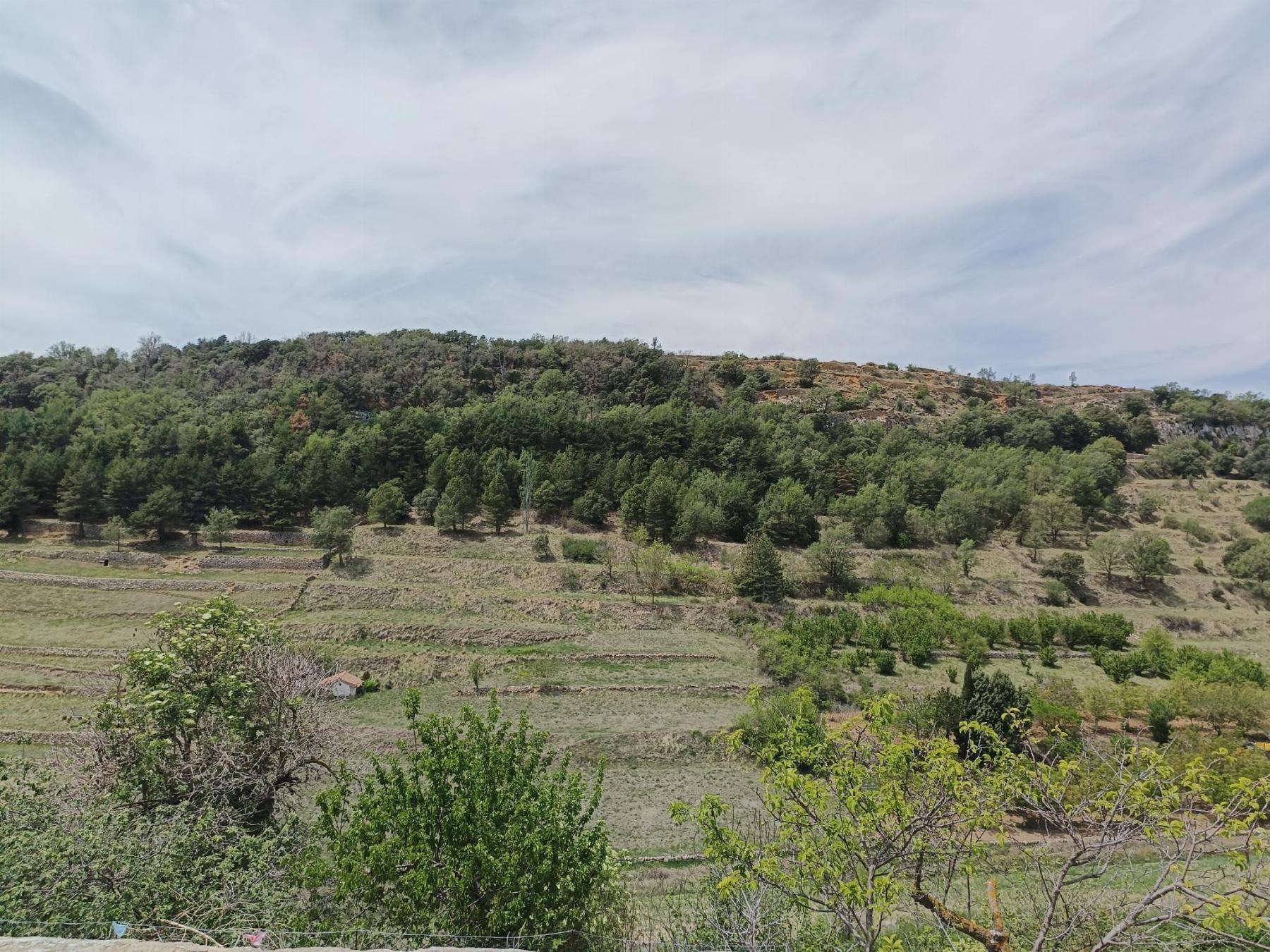 For sale of house in Villafranca del Cid