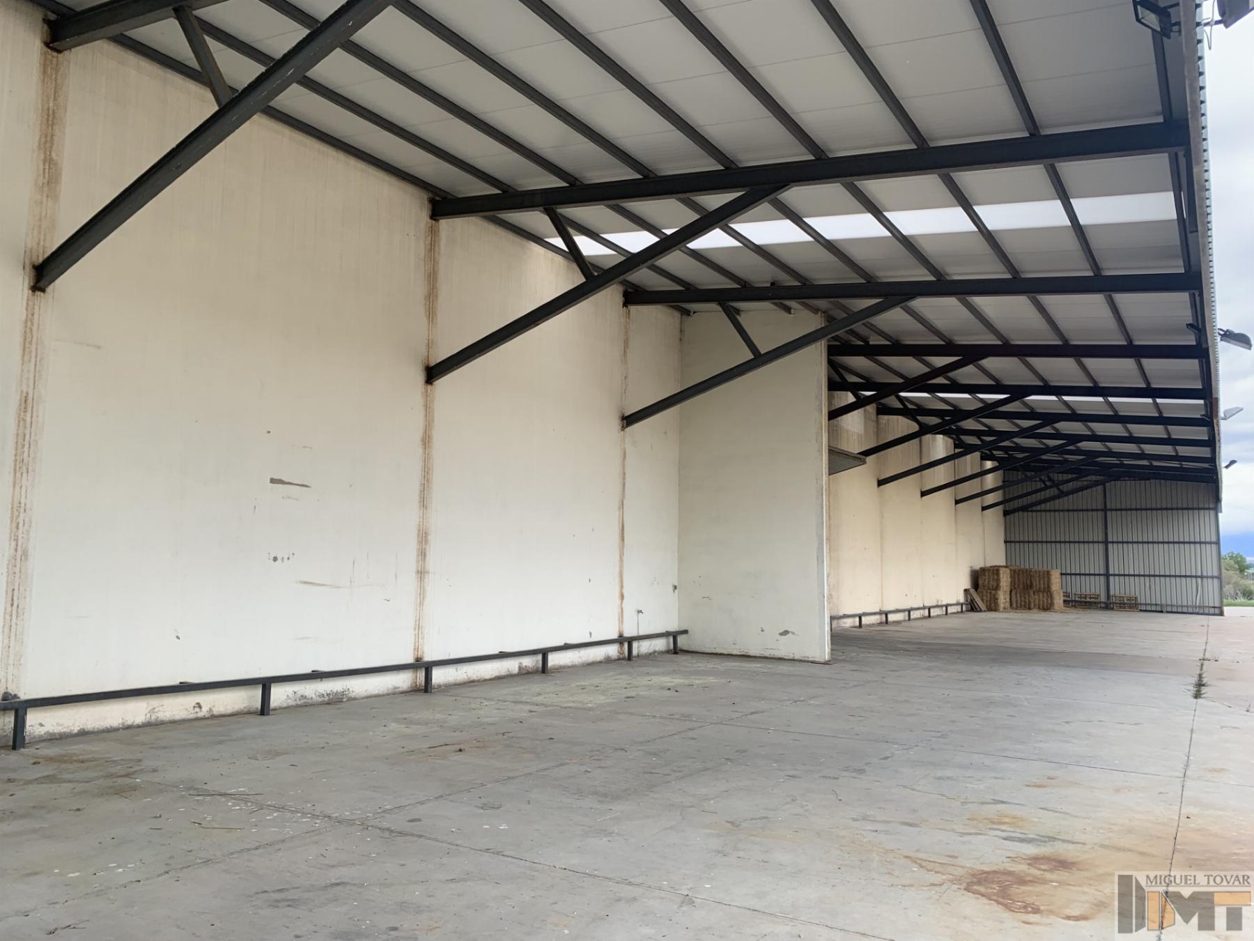 For rent of industrial plant/warehouse in Cantalejo