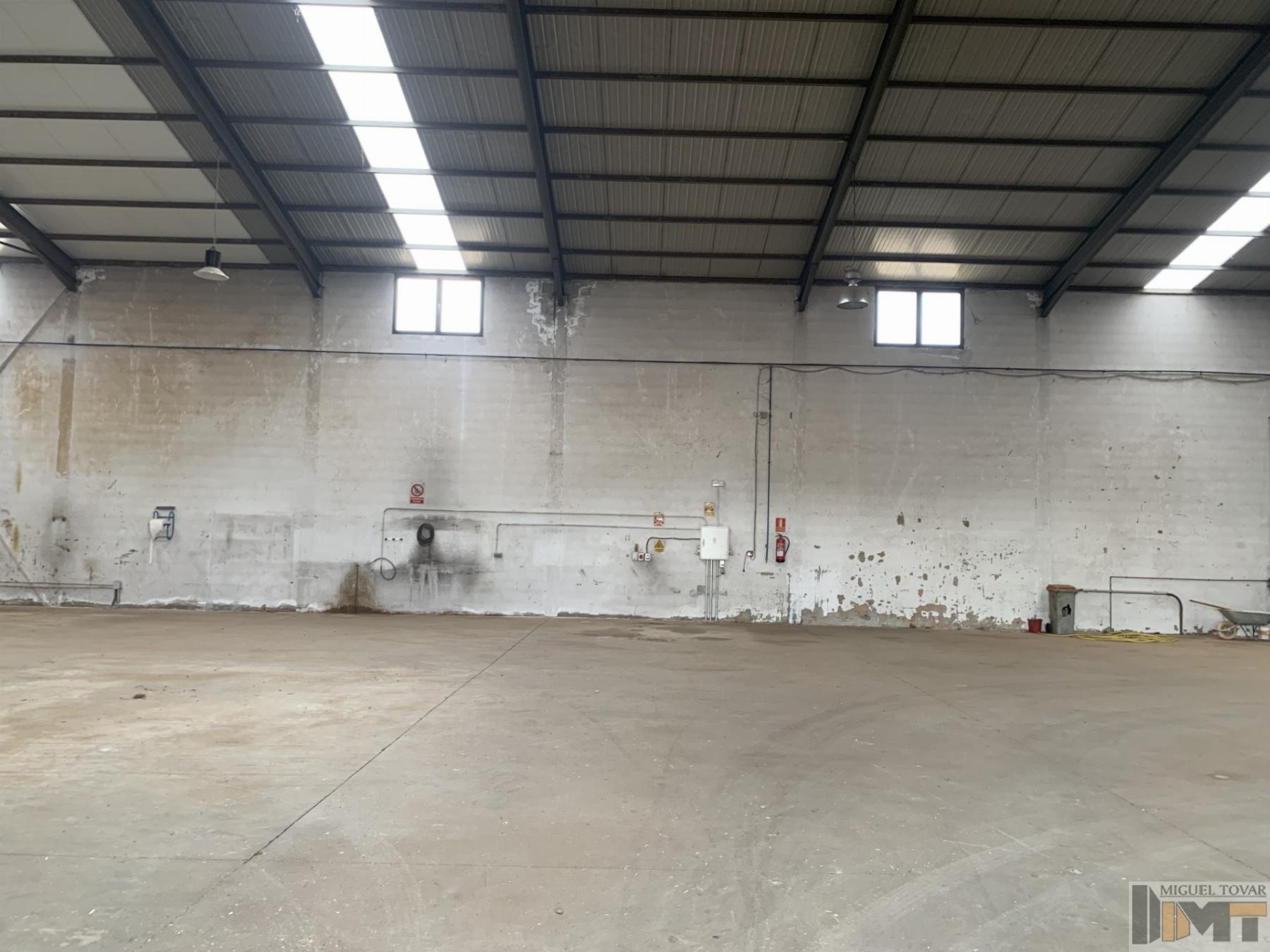 For rent of industrial plant/warehouse in Cantalejo