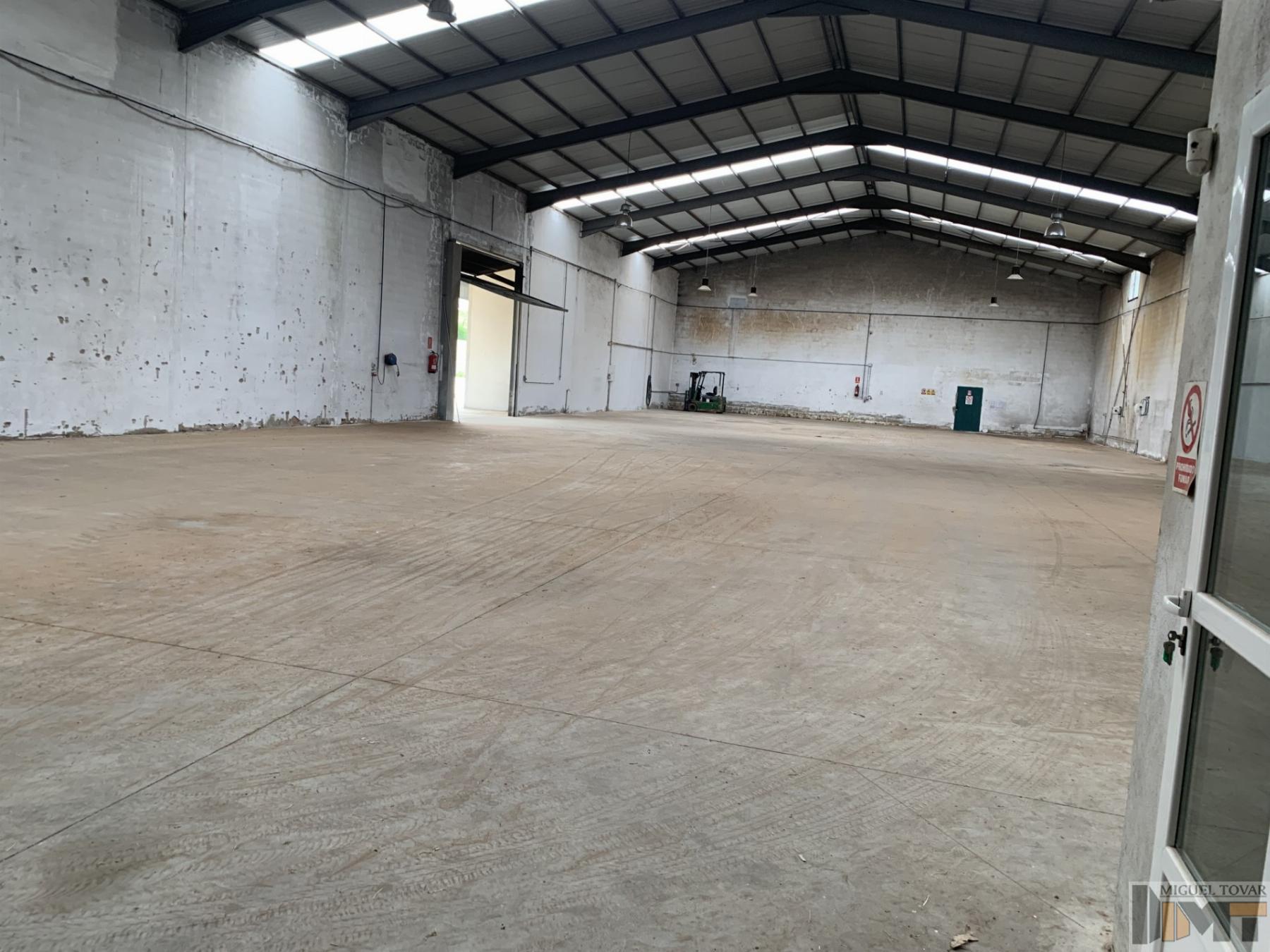 For rent of industrial plant/warehouse in Cantalejo
