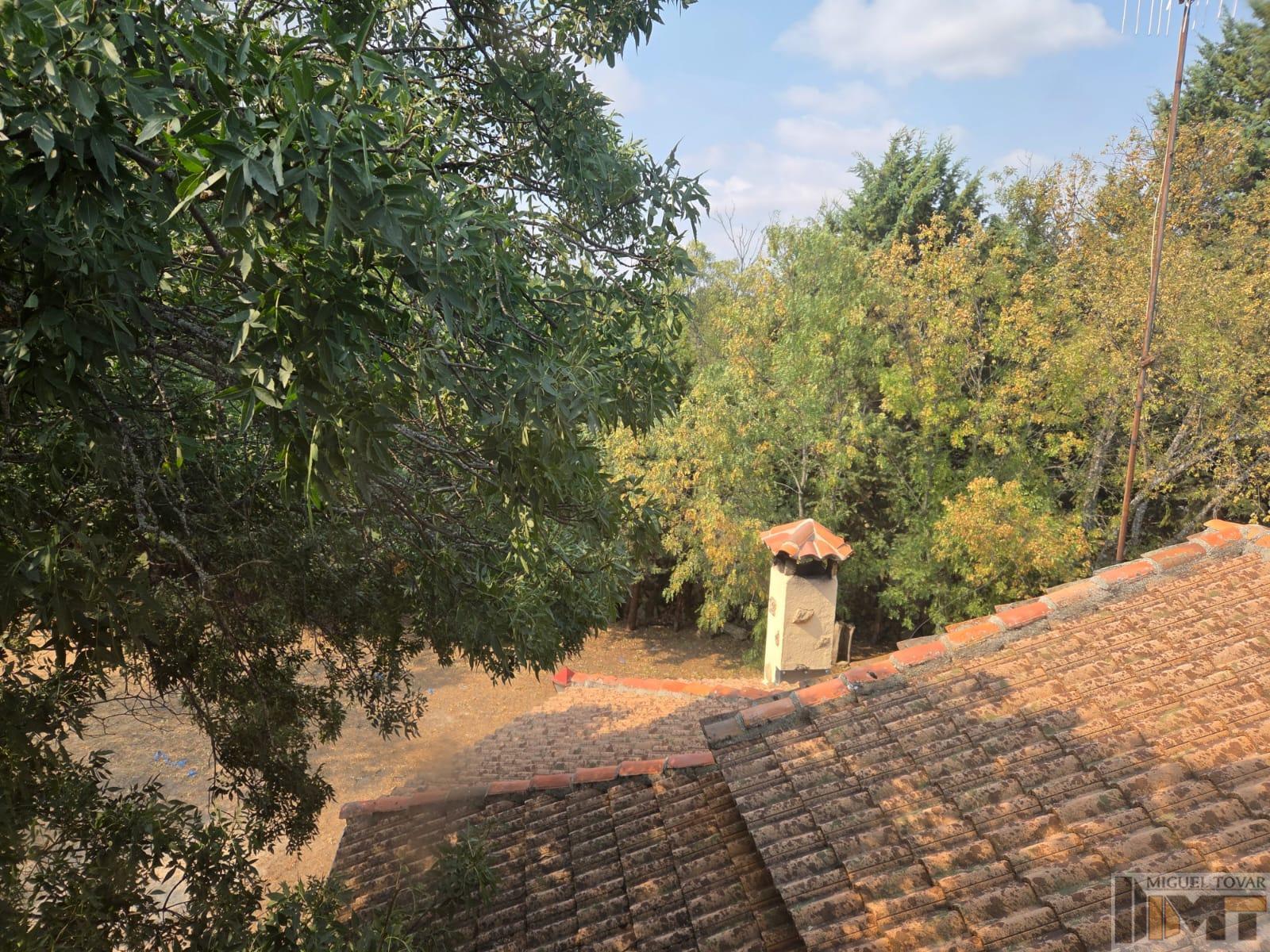 Venta de chalet en Pelayos del Arroyo