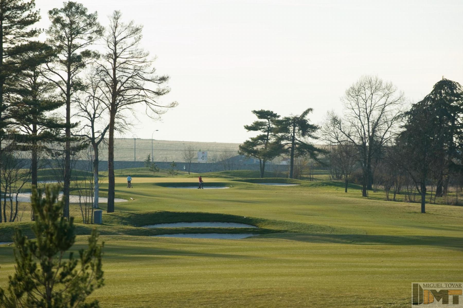 Venta de terreno en Palazuelos de Eresma