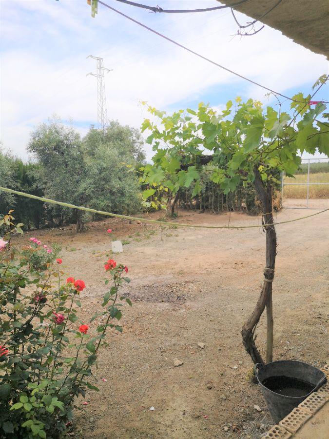 Venta de chalet en Morón de la Frontera