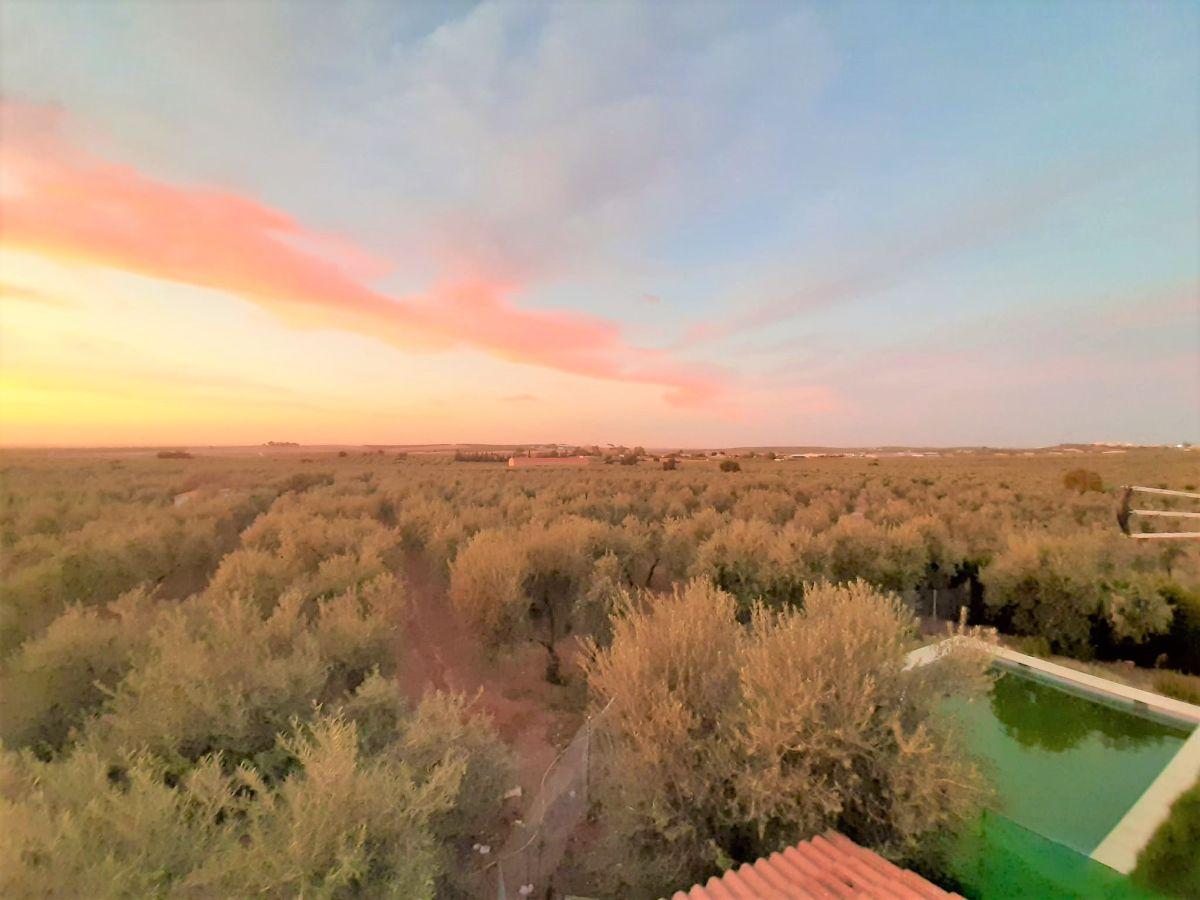 For sale of chalet in Morón de la Frontera