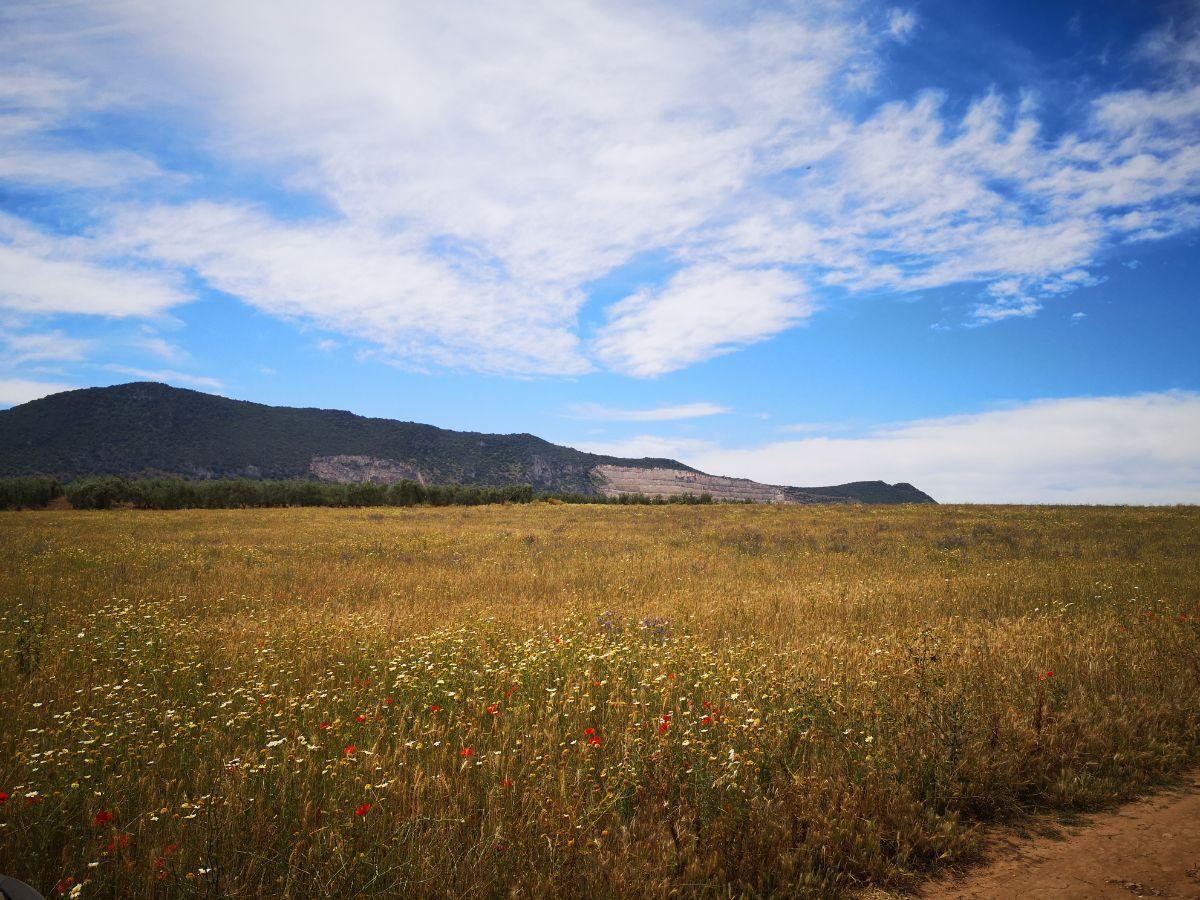 Venta de chalet en Morón de la Frontera