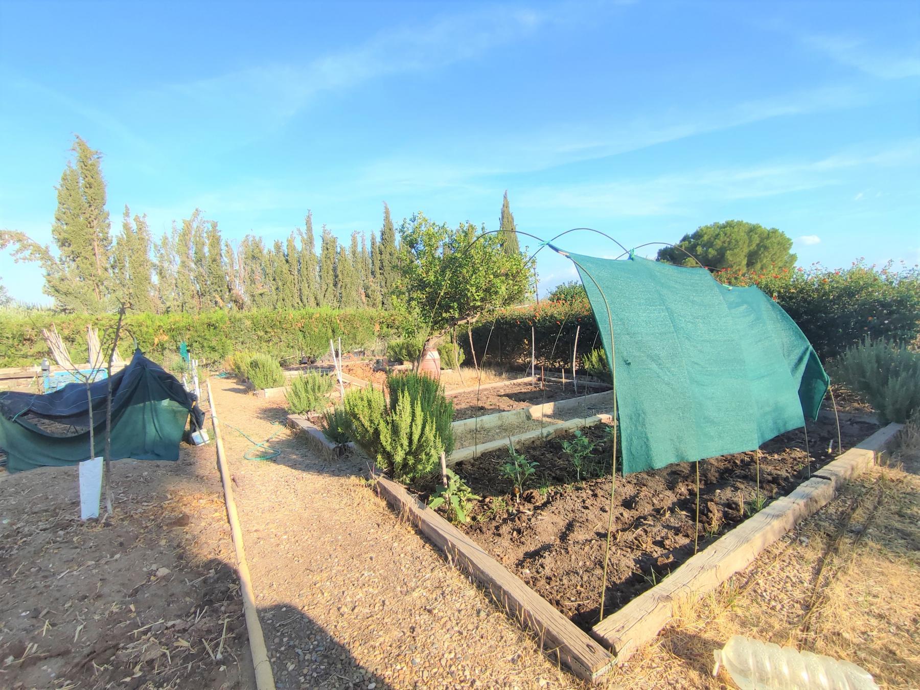 Venta de chalet en Morón de la Frontera