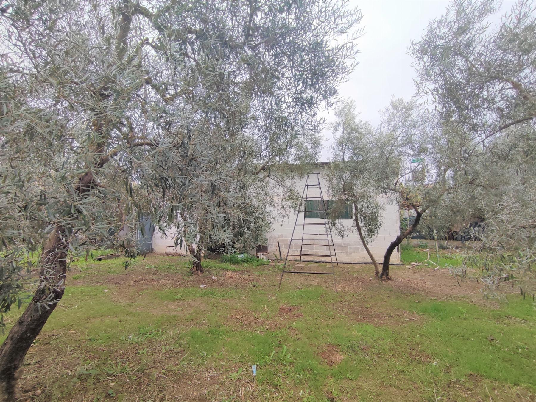 For sale of chalet in Morón de la Frontera