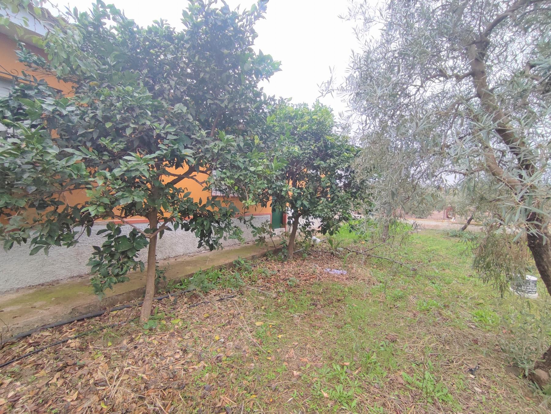 For sale of chalet in Morón de la Frontera